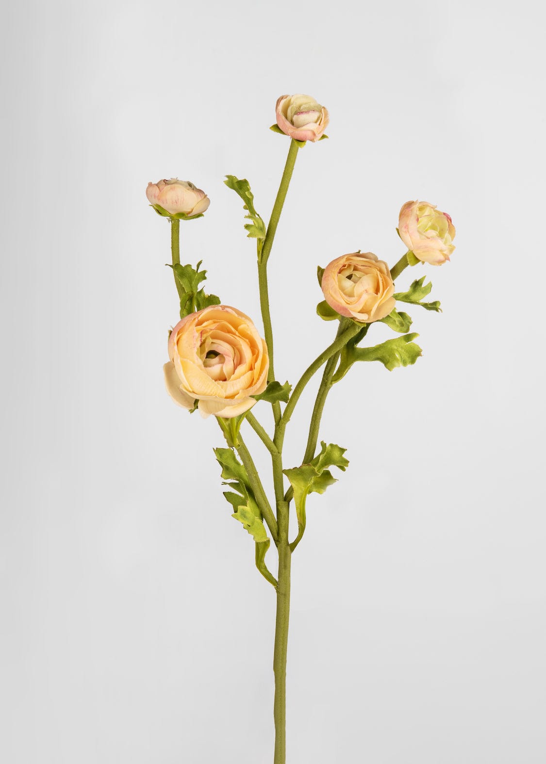 Real Touch Faux Ranunculus in Peach - 21.5