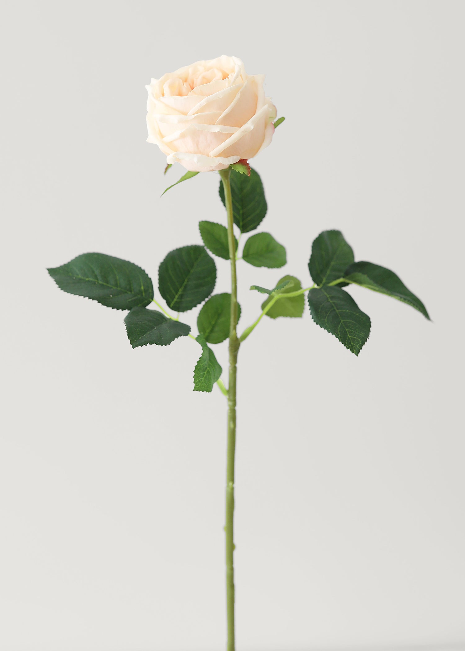 Peach Real Touch Rose Artificial Flower - 24