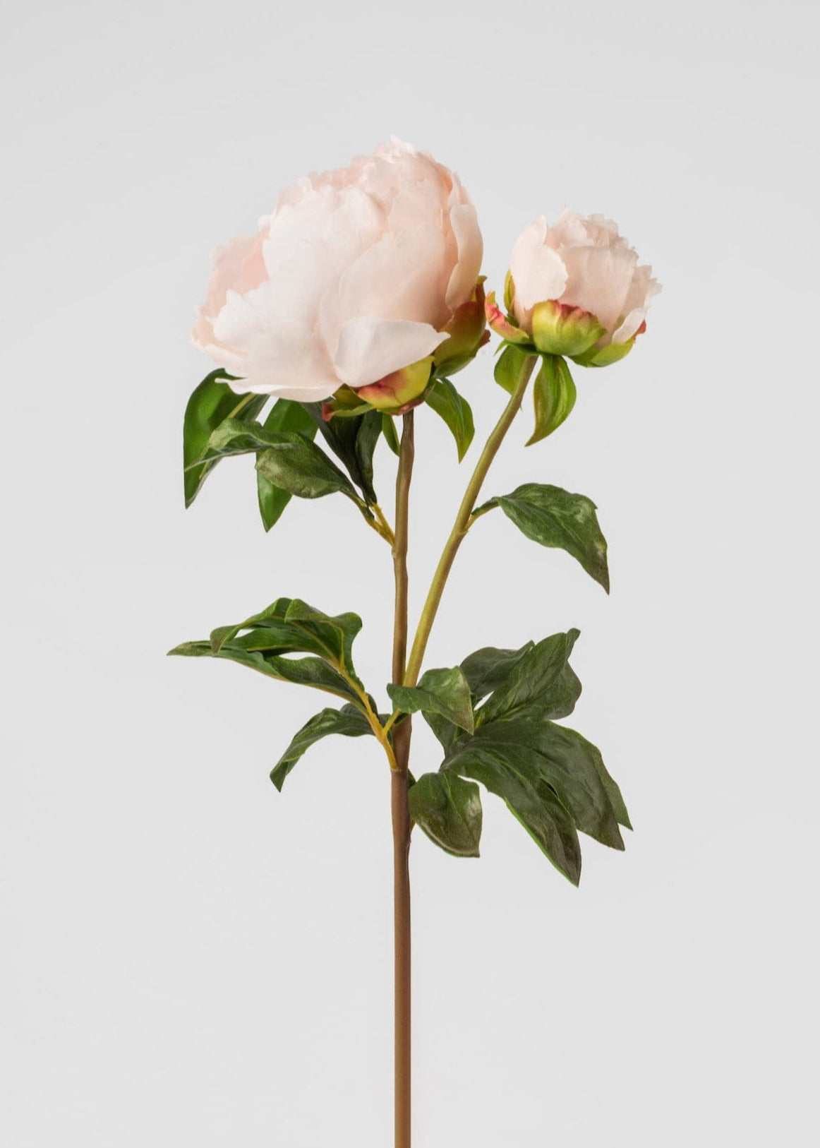 Real Touch Fake Flowers Blush Peony - 27