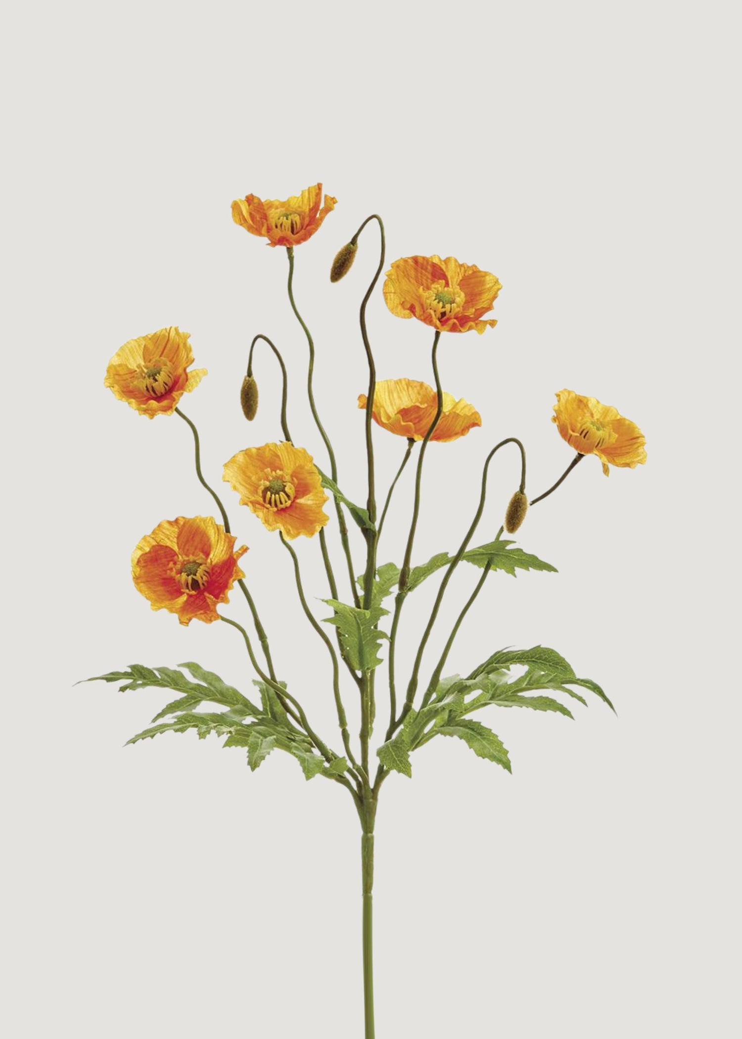 Orange Fake Poppy Blooming Flower Bush - 15