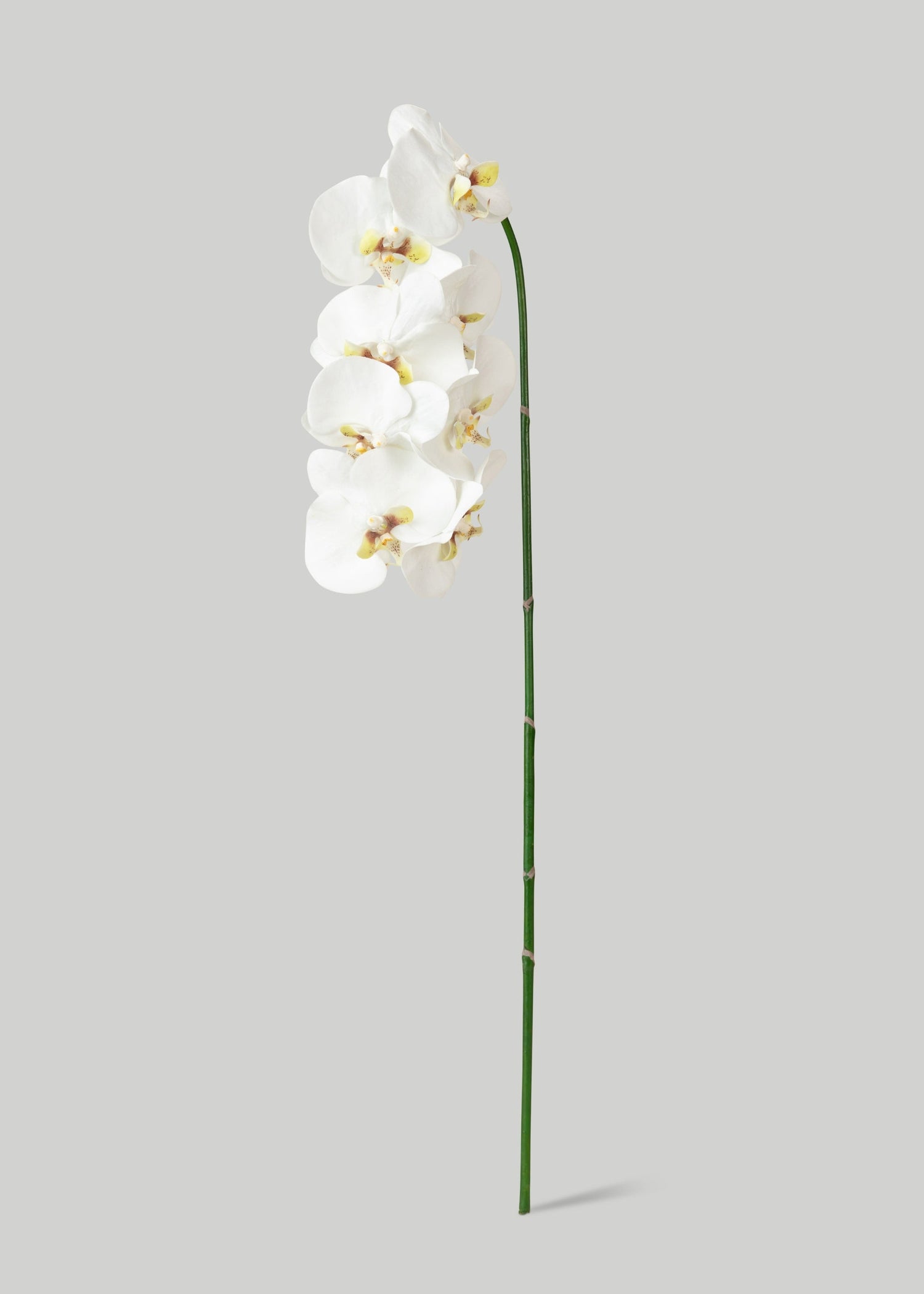 Faux White Blooming Phalaenopsis Orchids - 40
