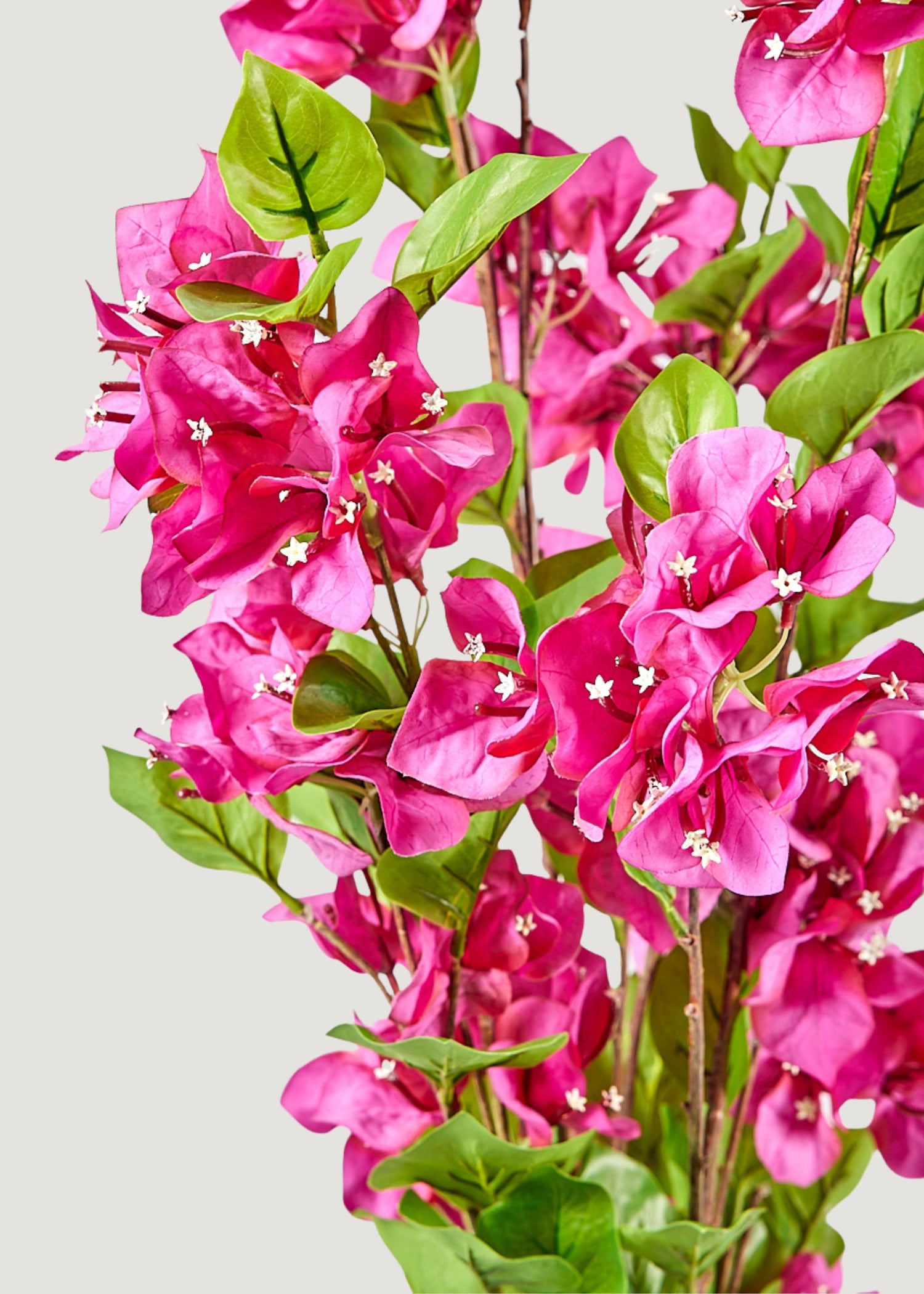 Fuchsia Faux Bougainvillea Hanging Bush - 43