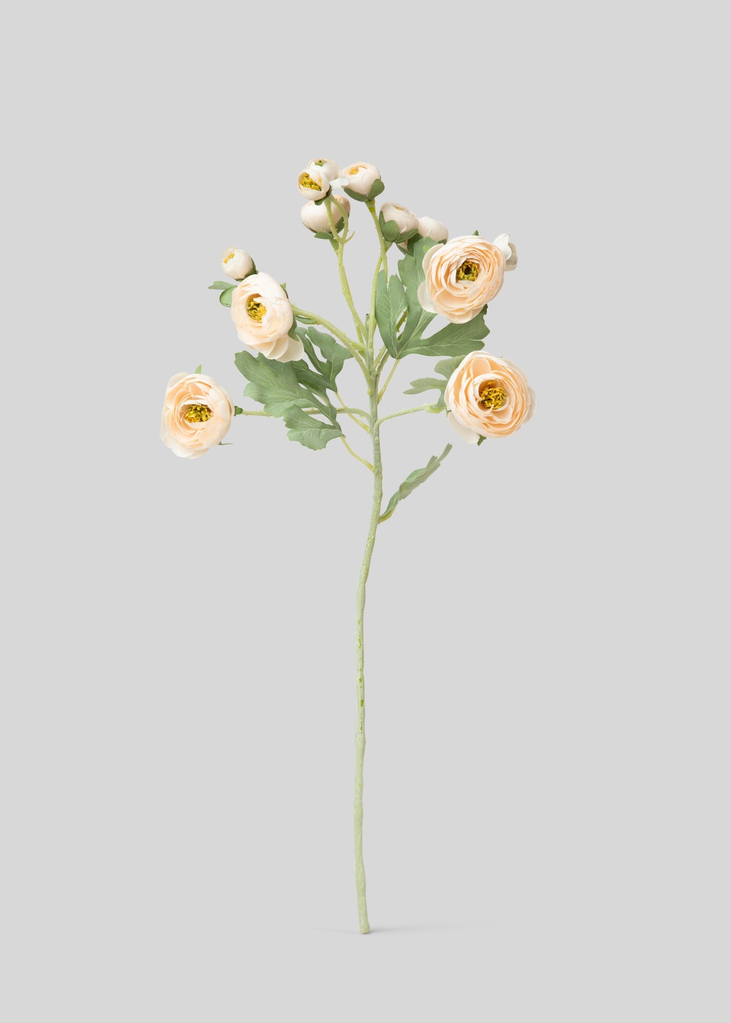 Artificial Blooming Ranunculus Flowers in Blush Peach - 21
