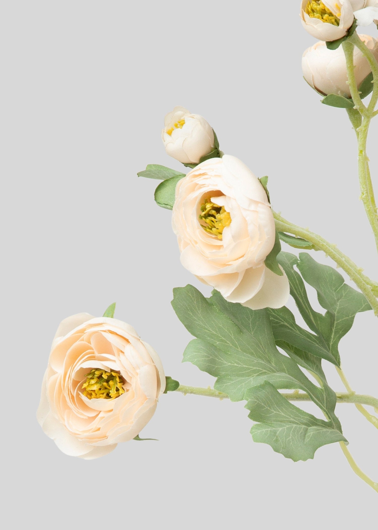 Artificial Blooming Ranunculus Flowers in Blush Peach - 21