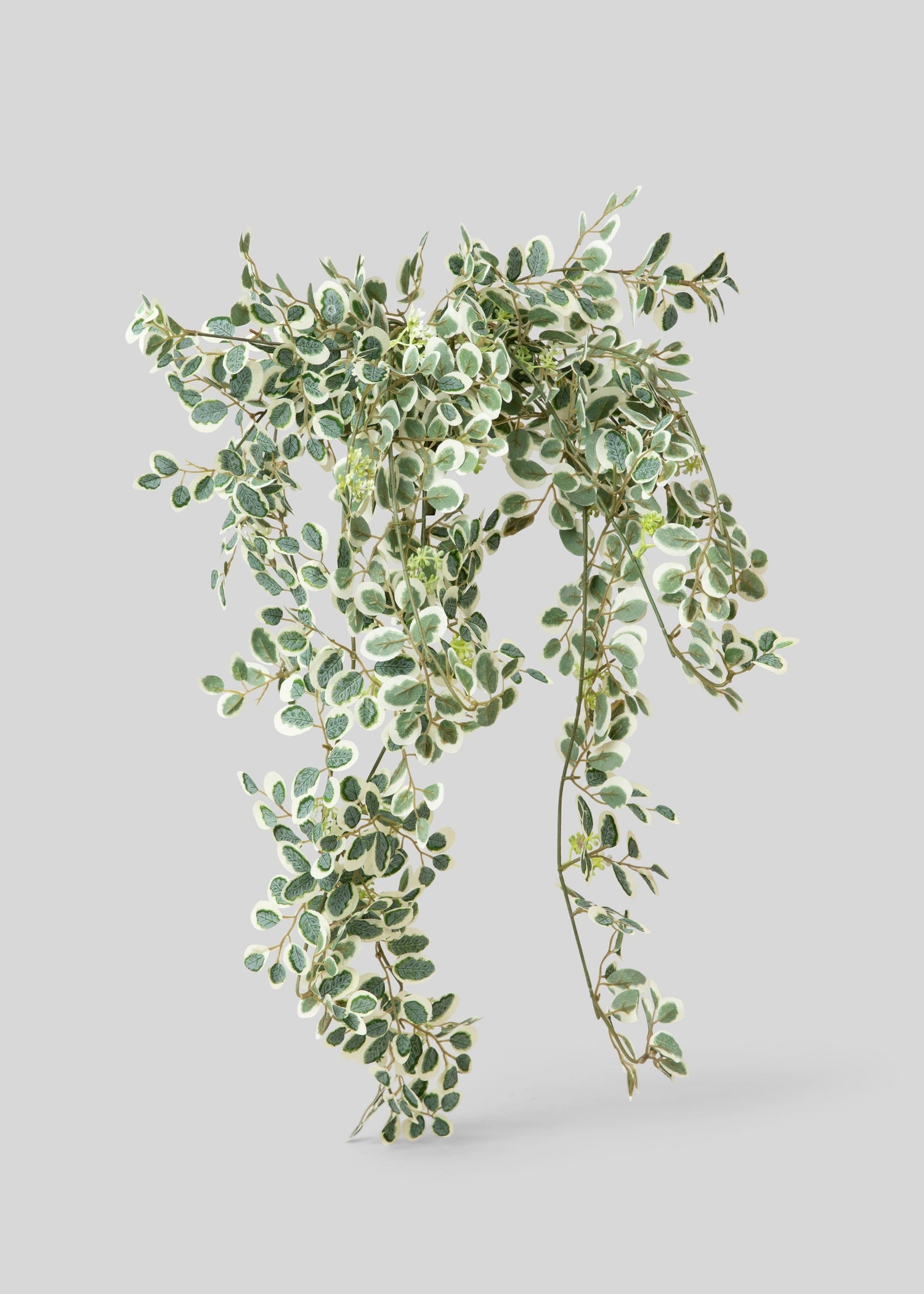 Fake Button Leaf Hanging Plant - 35