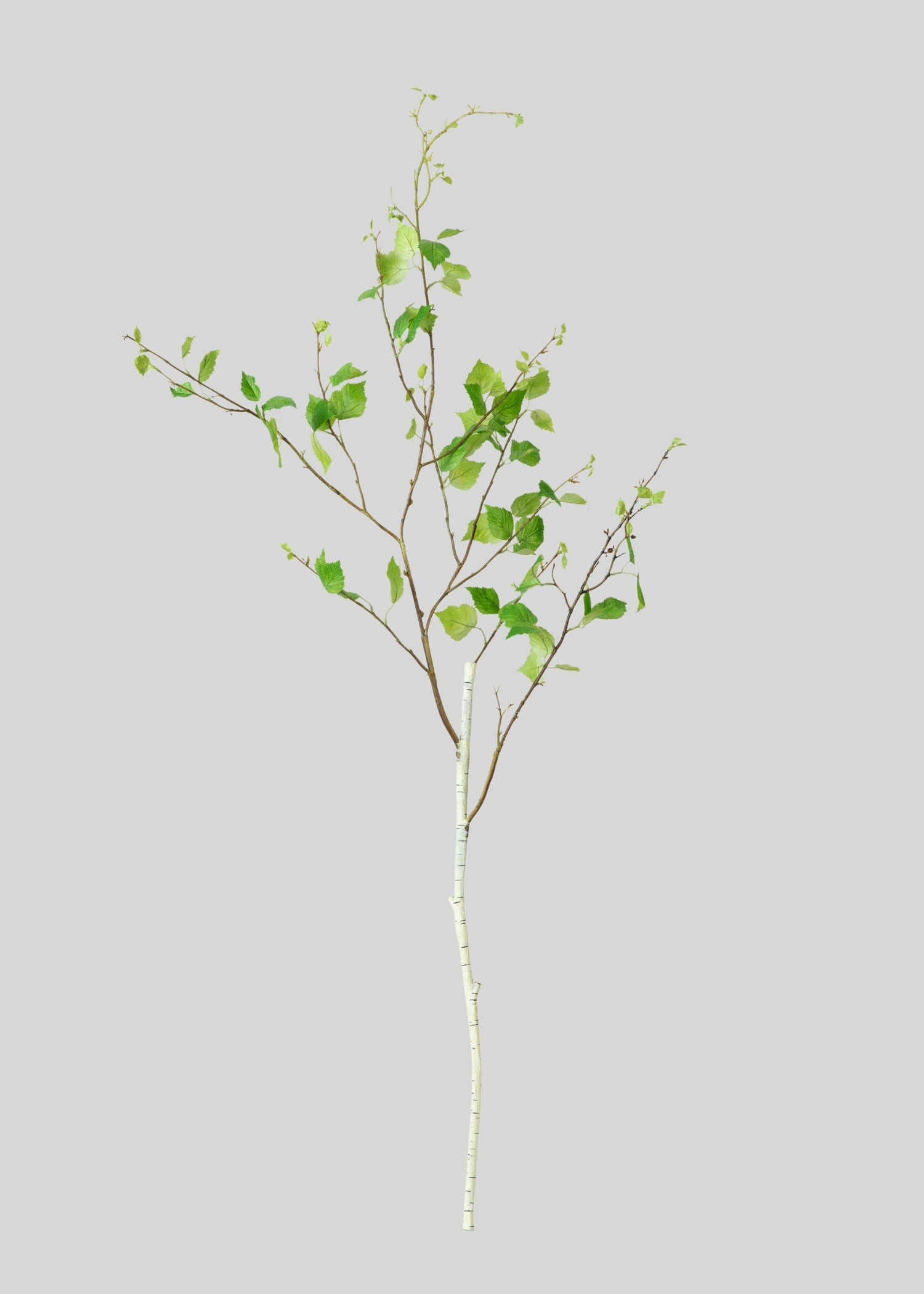 Artificial Birch Leaf Branch - 52