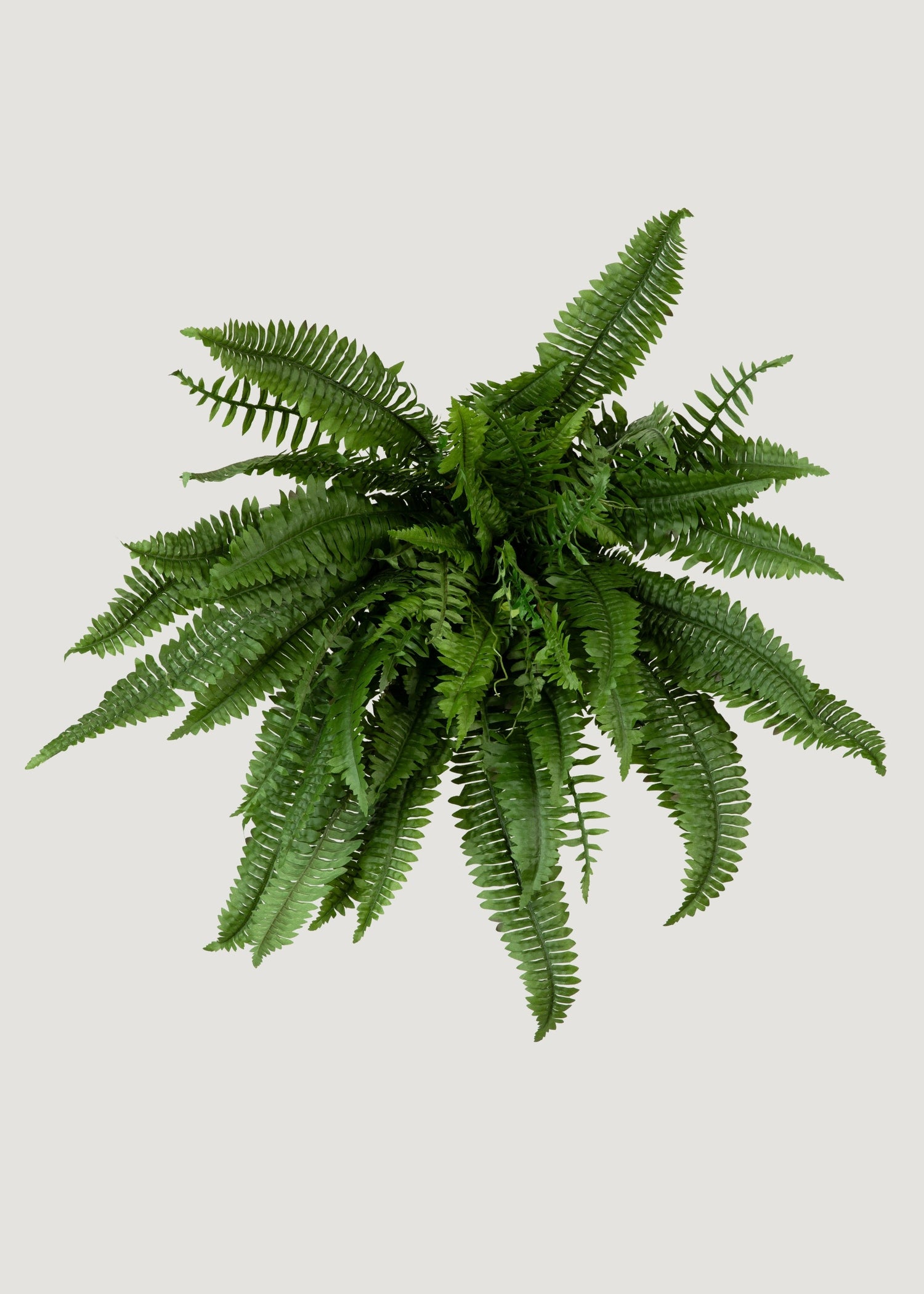 Large UV Resistant Outdoor Fake Boston Fern Plant - 38