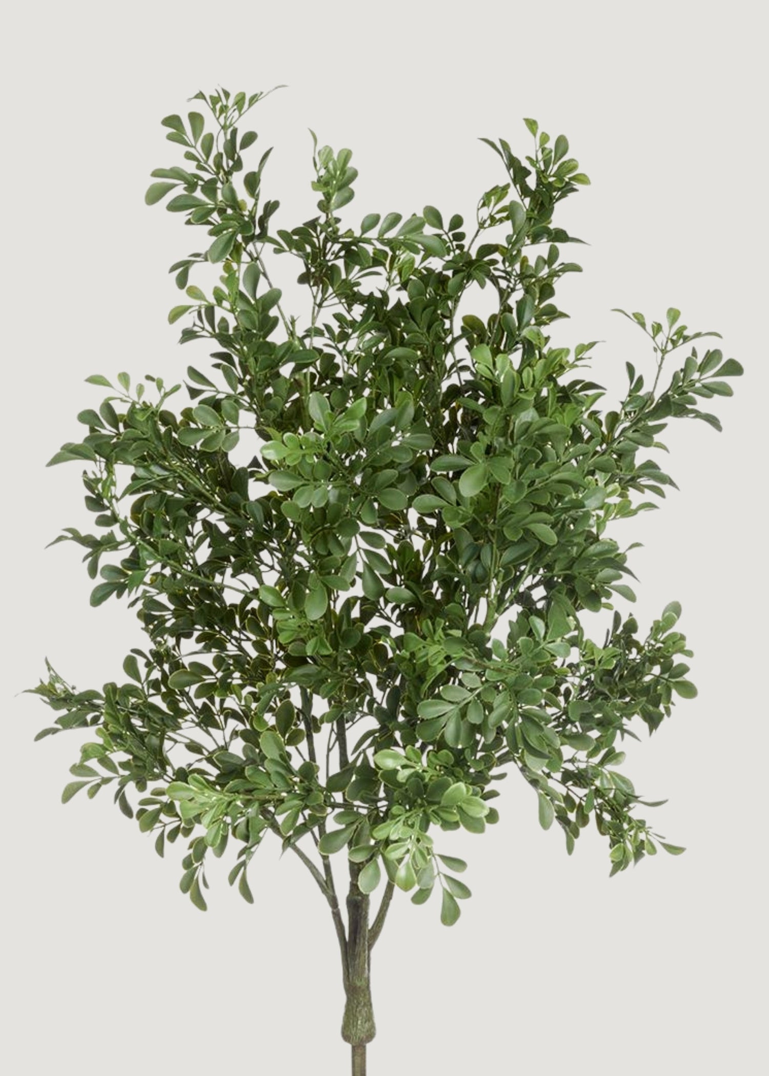 UV Treated Indoor/Outdoor Fake Boxwood Plant - 34