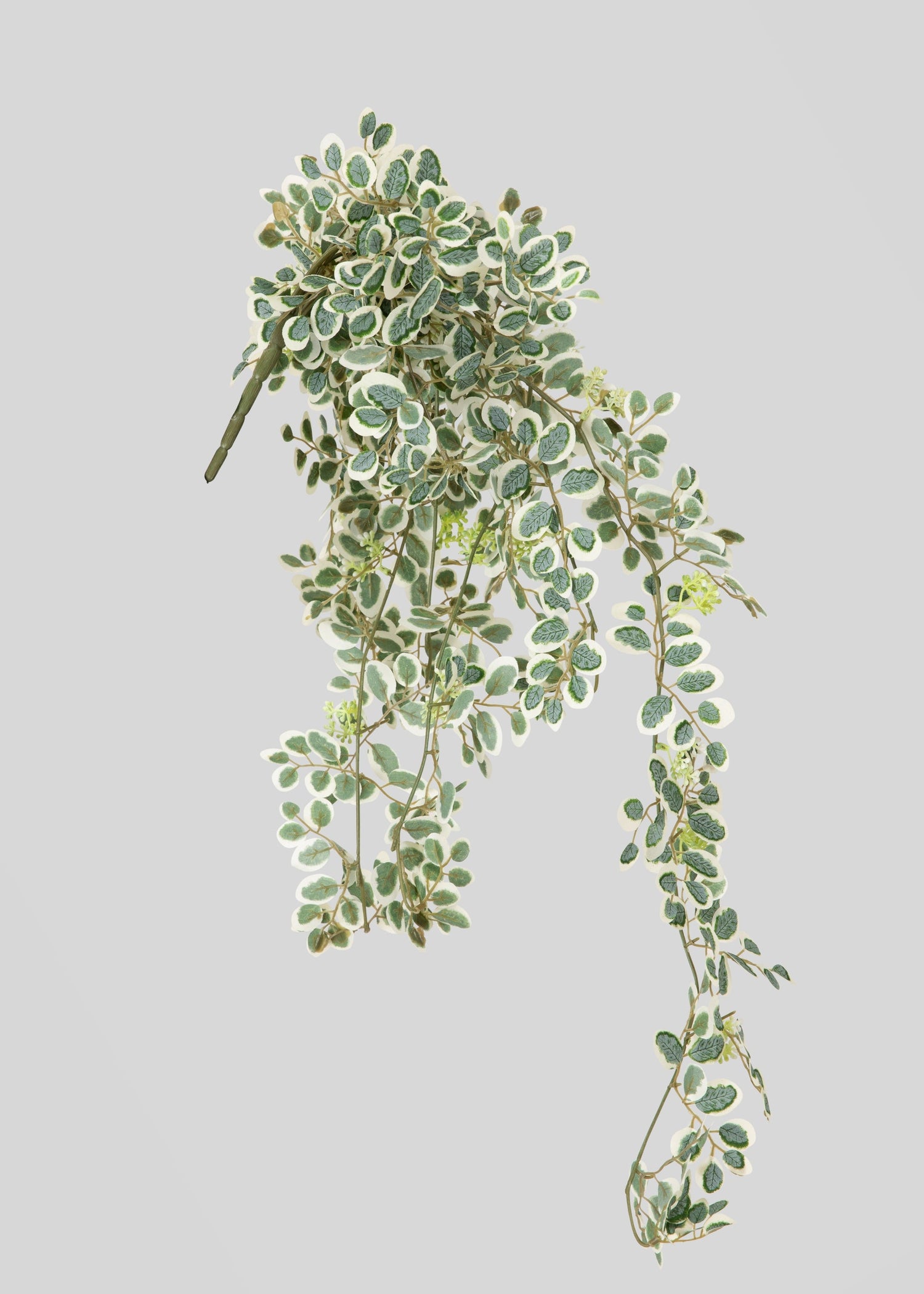 Fake Button Leaf Hanging Plant - 35