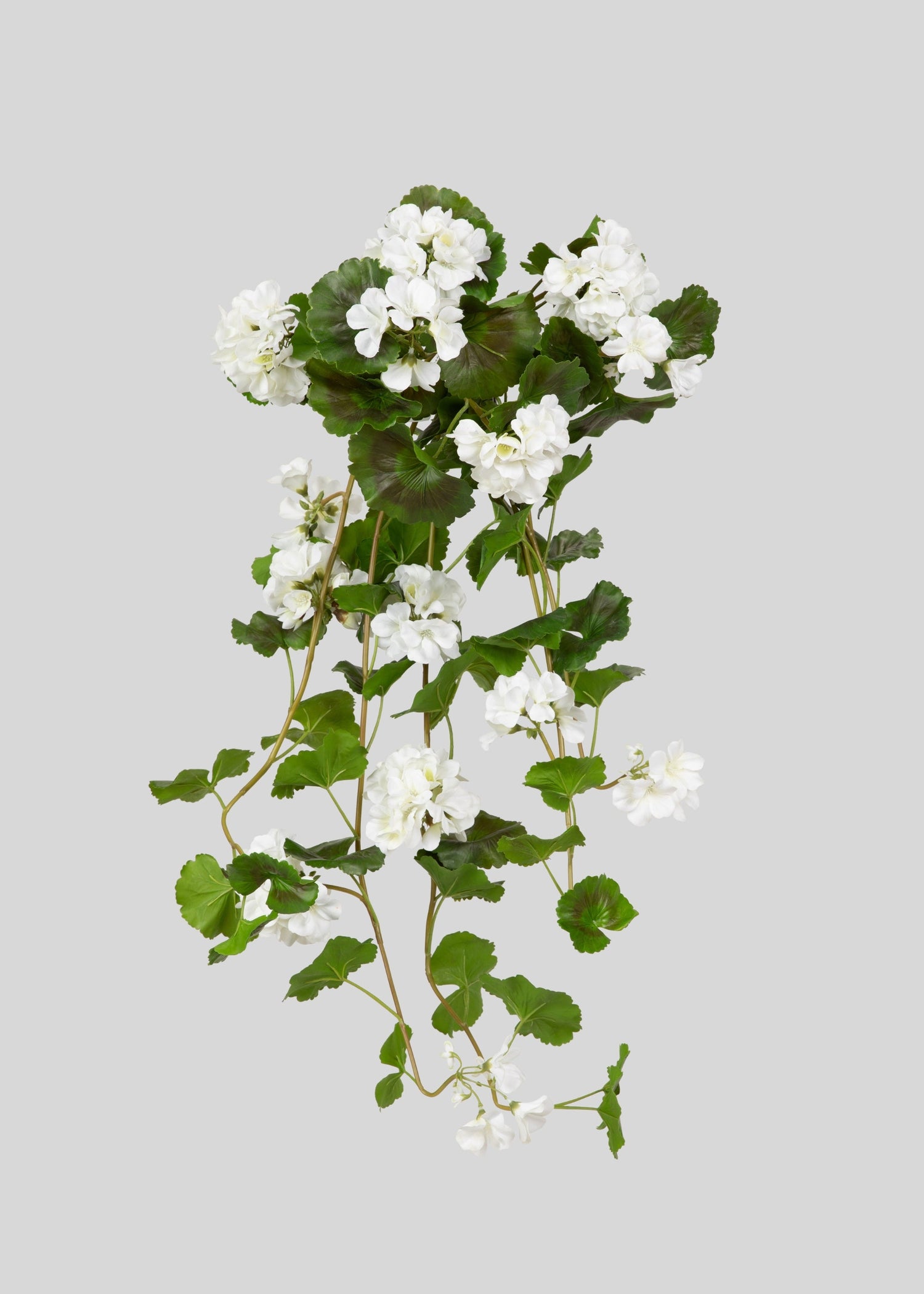 UV Treated Indoor/Outdoor Natural Touch Geranium Hanging Bush - 36