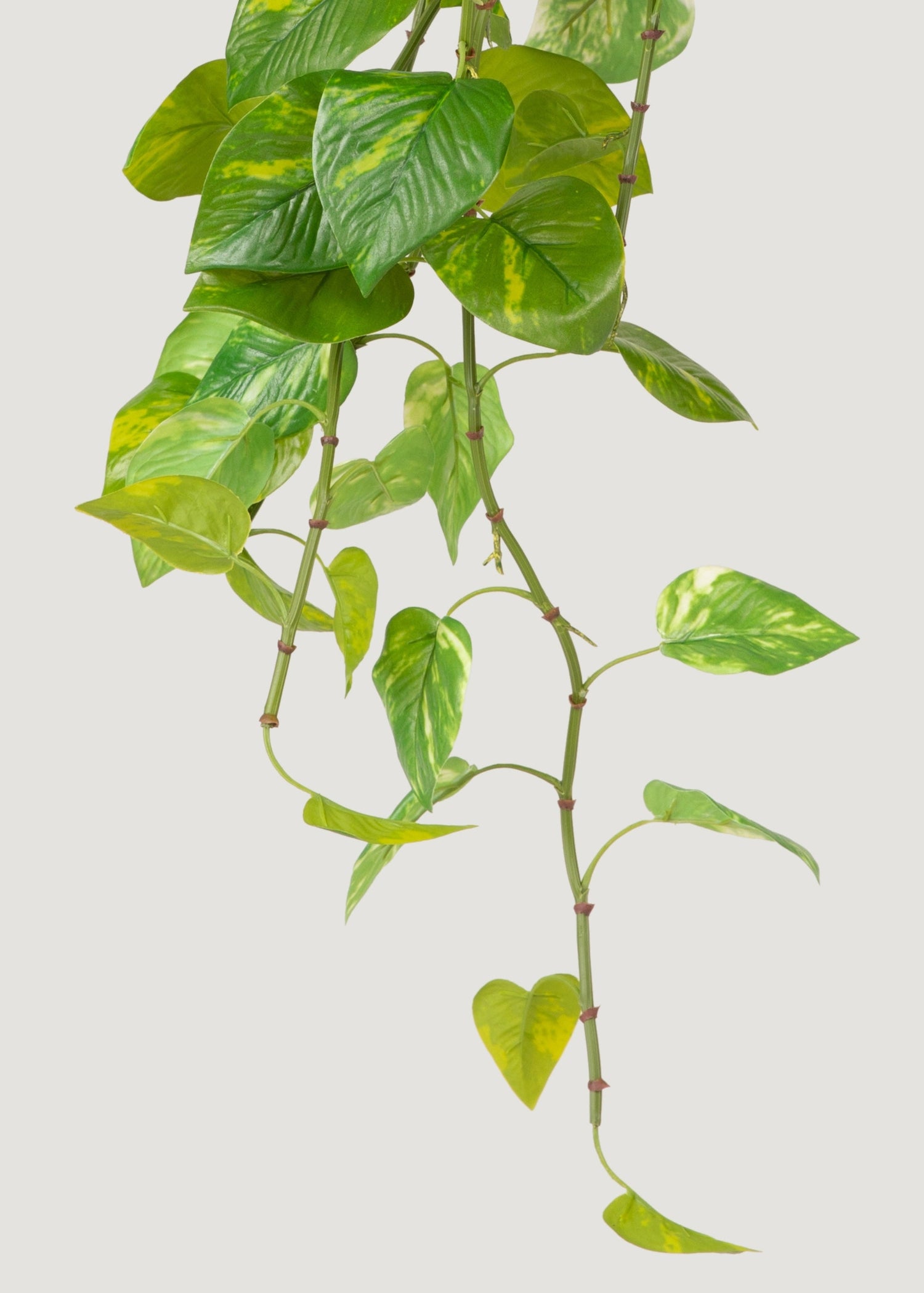 Natural Touch Variegated Pothos - Fake Hanging Plant - 27