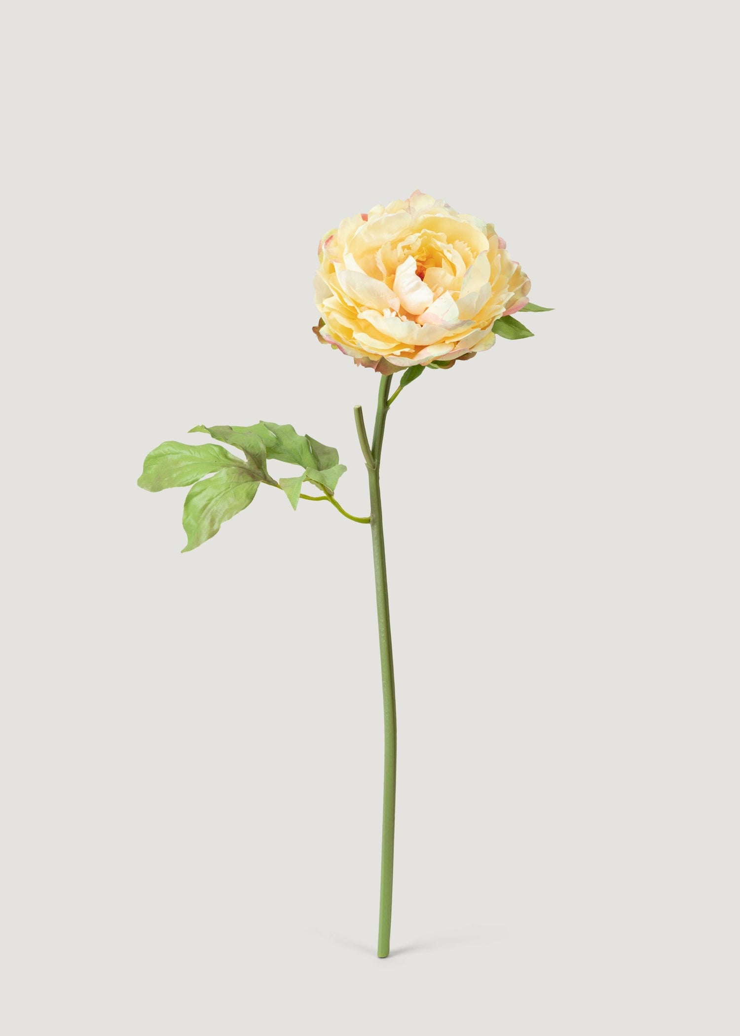 Real Touch Peony in Pale Yellow - 20