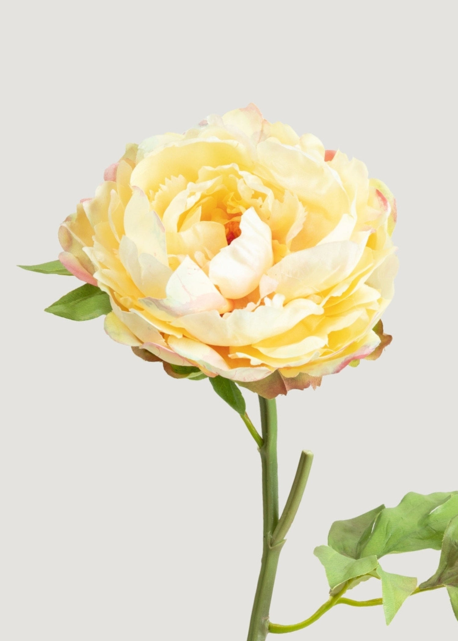 Real Touch Peony in Pale Yellow - 20