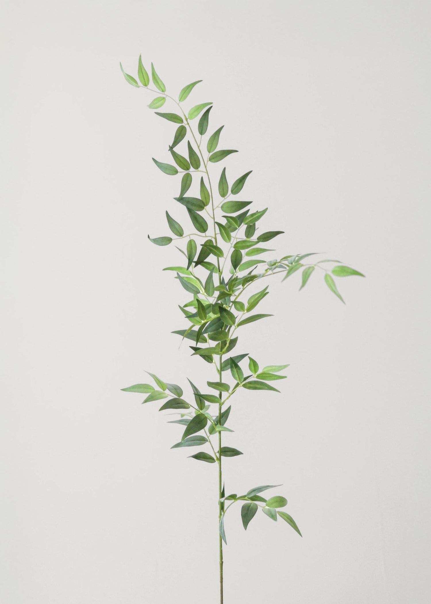 Fake Plants Italian Ruscus Branch - 49