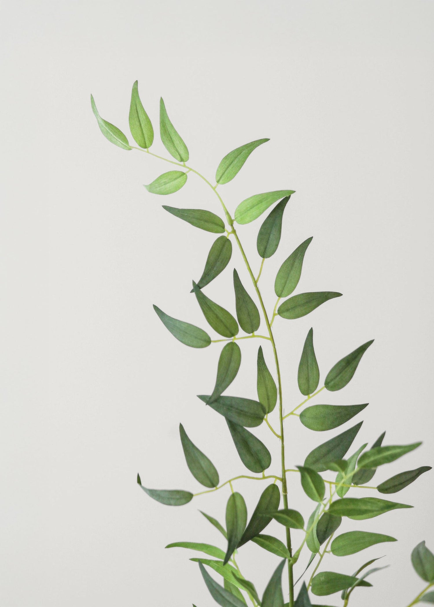 Fake Plants Italian Ruscus Branch - 49
