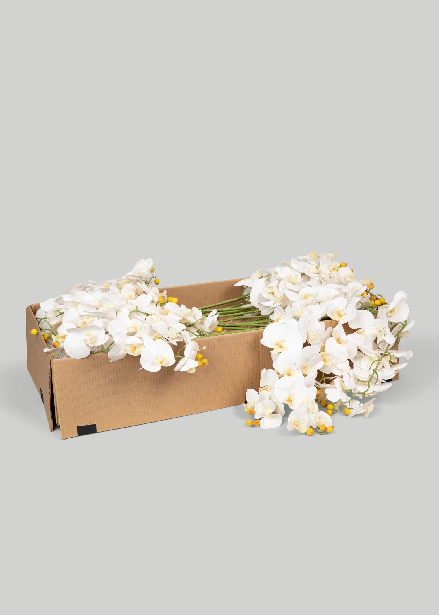 Case of 48 Stems - Faux Real Touch Orchids in White - 36