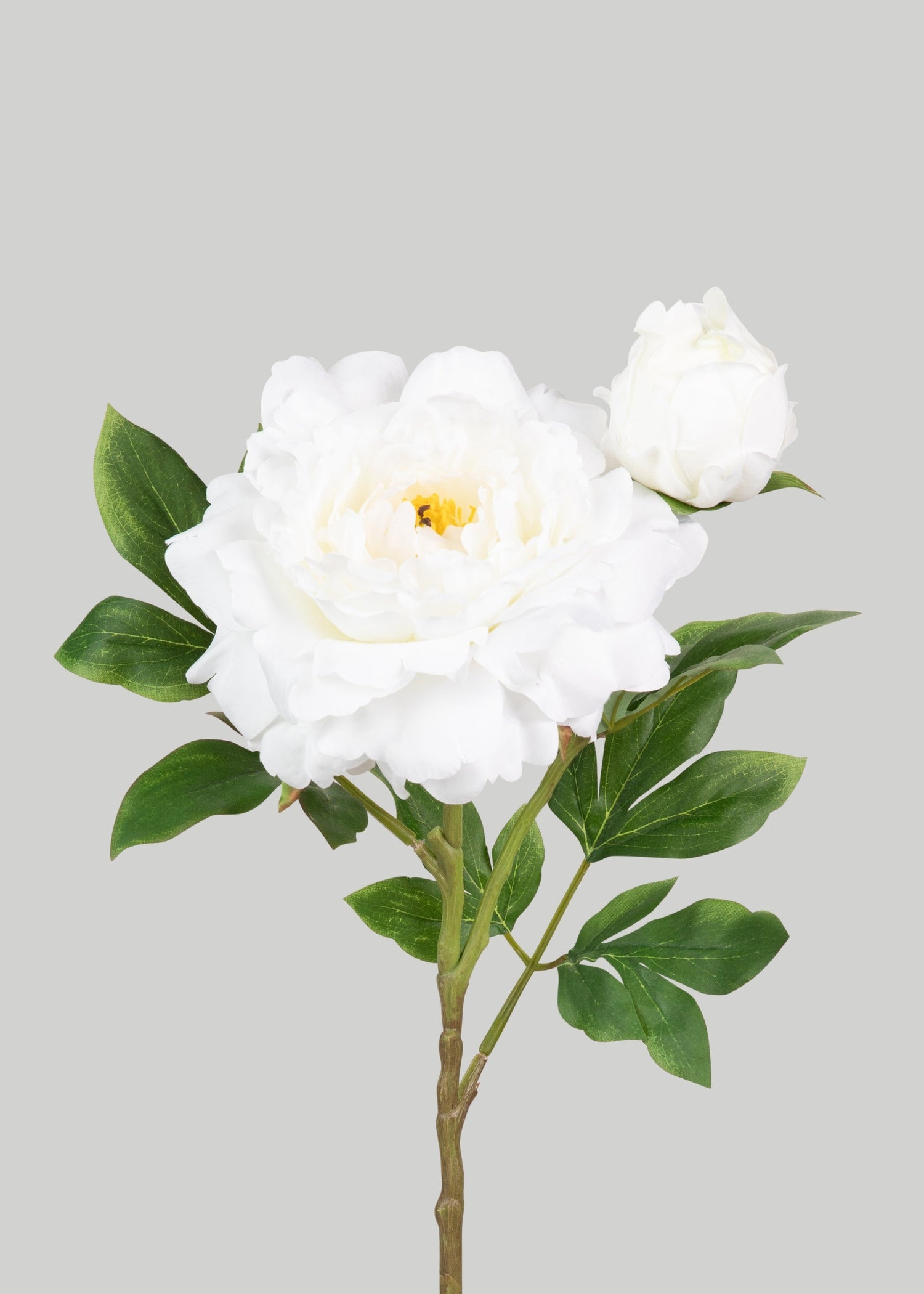 Deluxe White Queen Garden Peony Fake Flower - 30