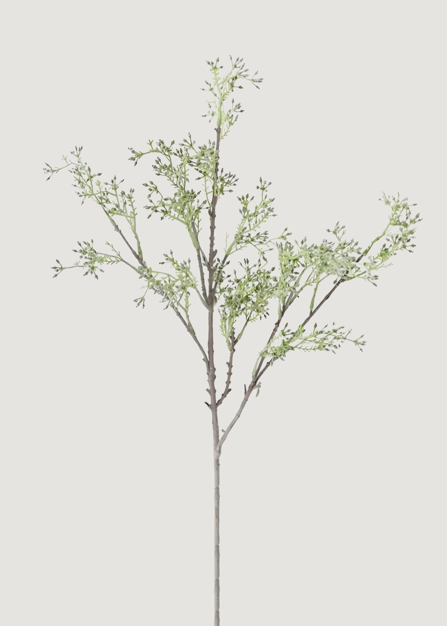 Artificial Seeded Eucalyptus Stem - 27