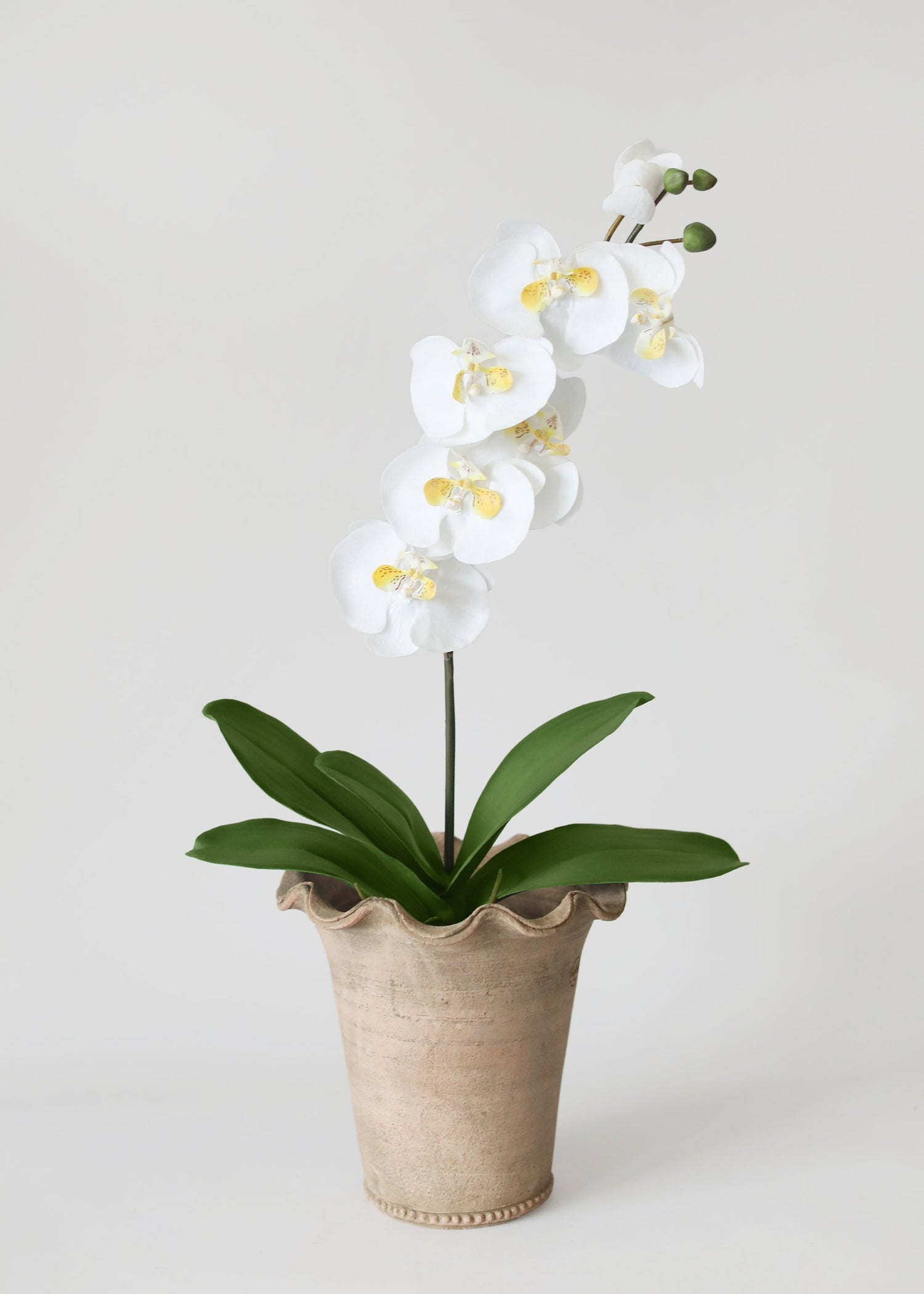 Artificial Phalaenopsis Orchid Leaf Plant - 15