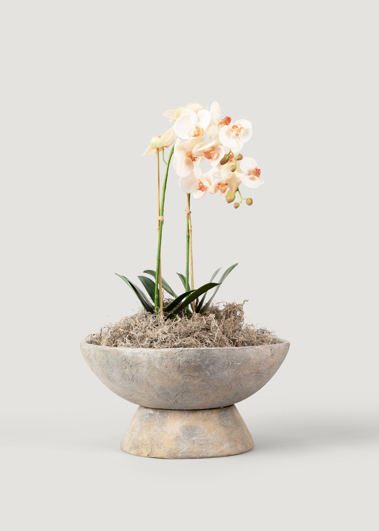 Faux Blush Phalaenopsis Orchid Drop-In Plant - 23