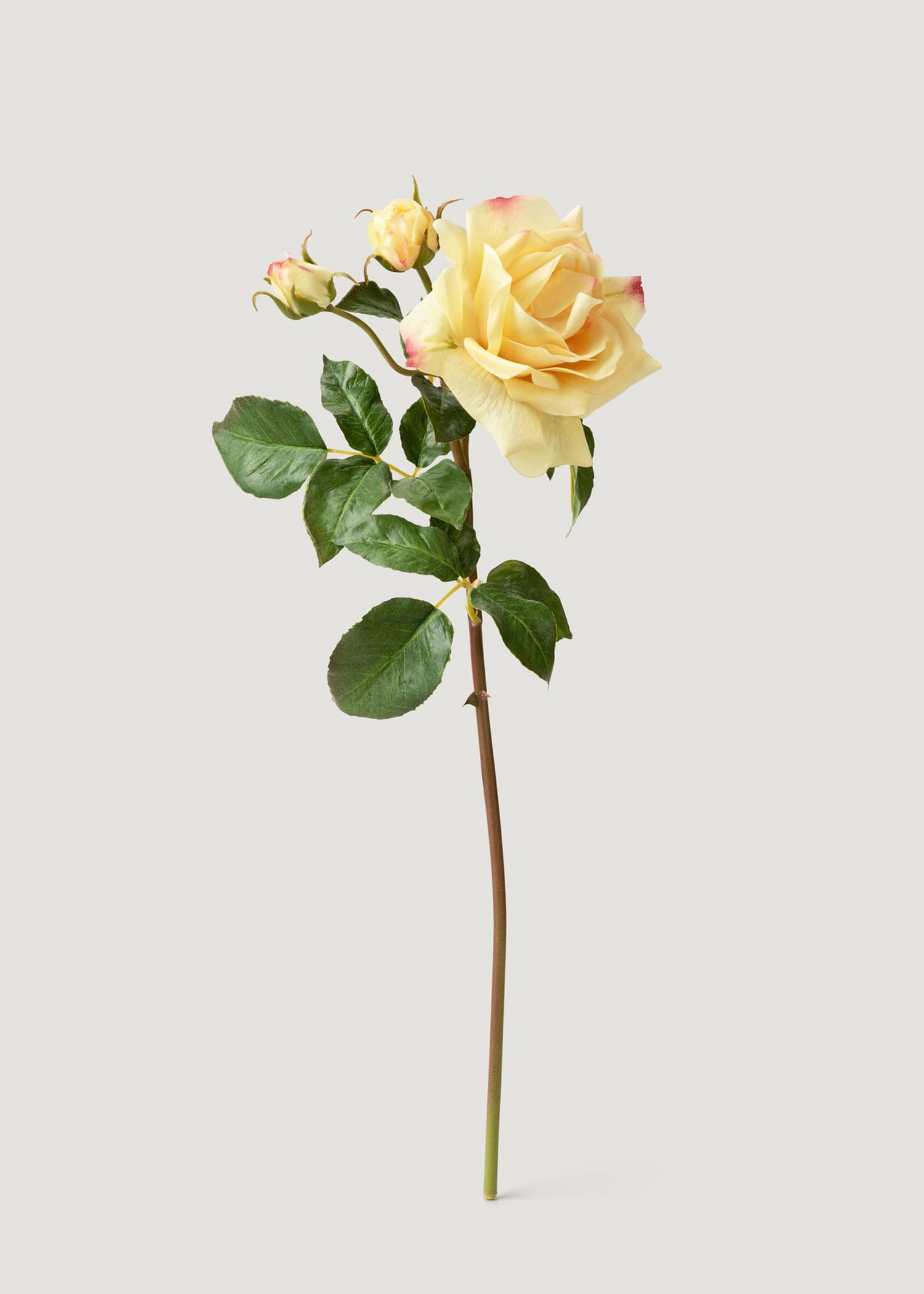 Artificial Real Touch Juliet English Rose in Yellow - 22