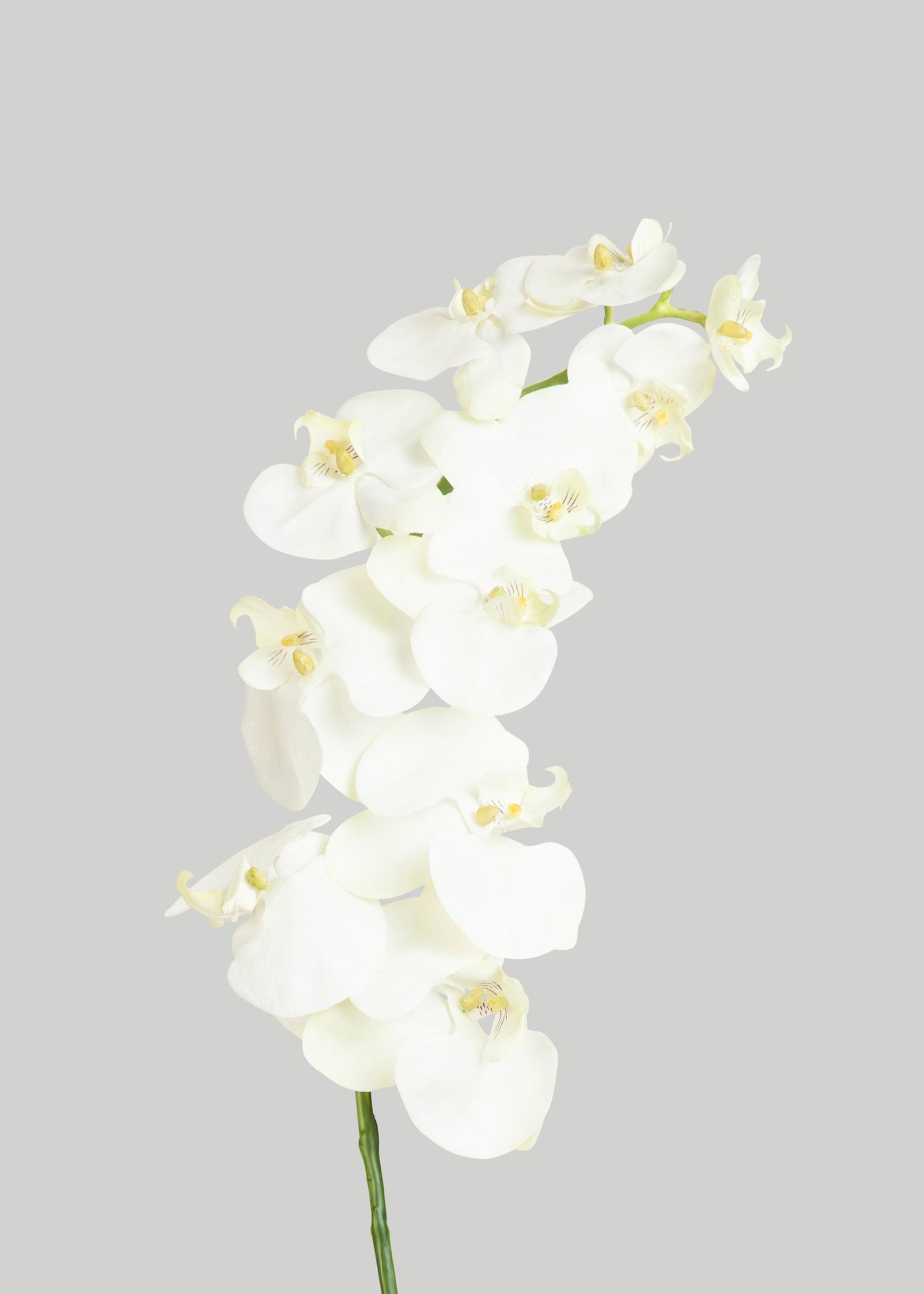 White Cream Artificial Phalaenopsis Orchids - 39