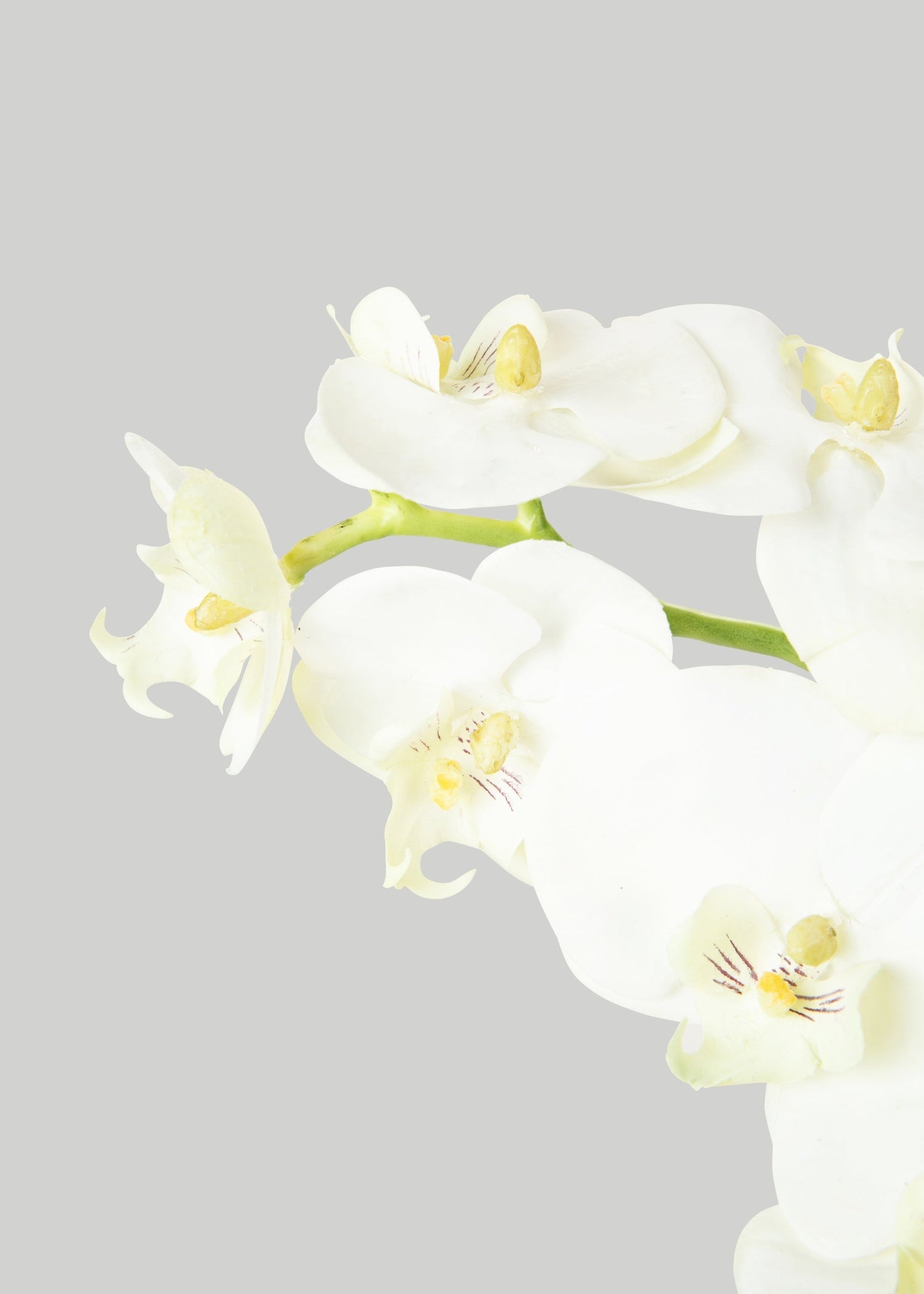 White Cream Artificial Phalaenopsis Orchids - 39