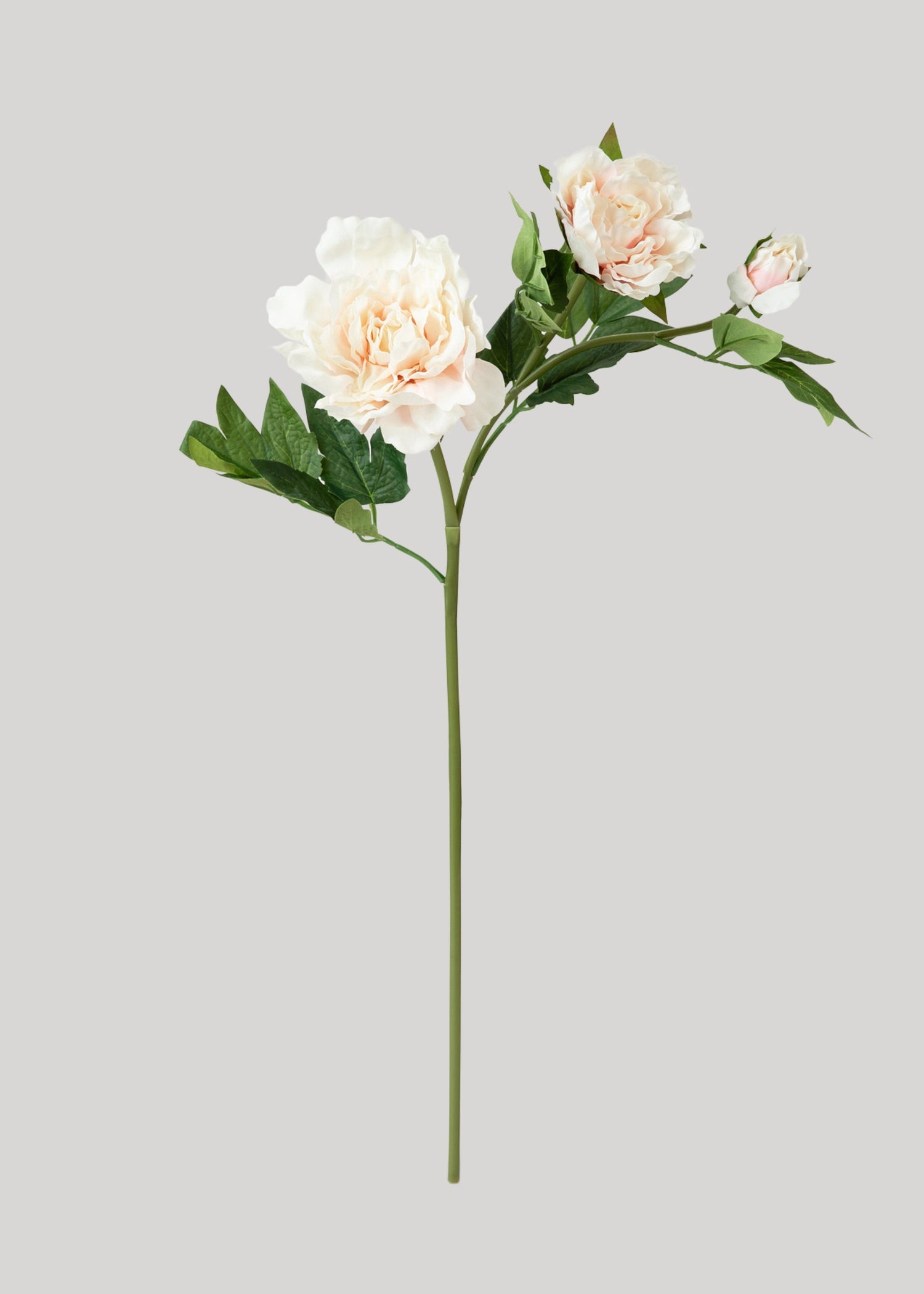 Real Touch Peony Flowers in Soft Pink - 26