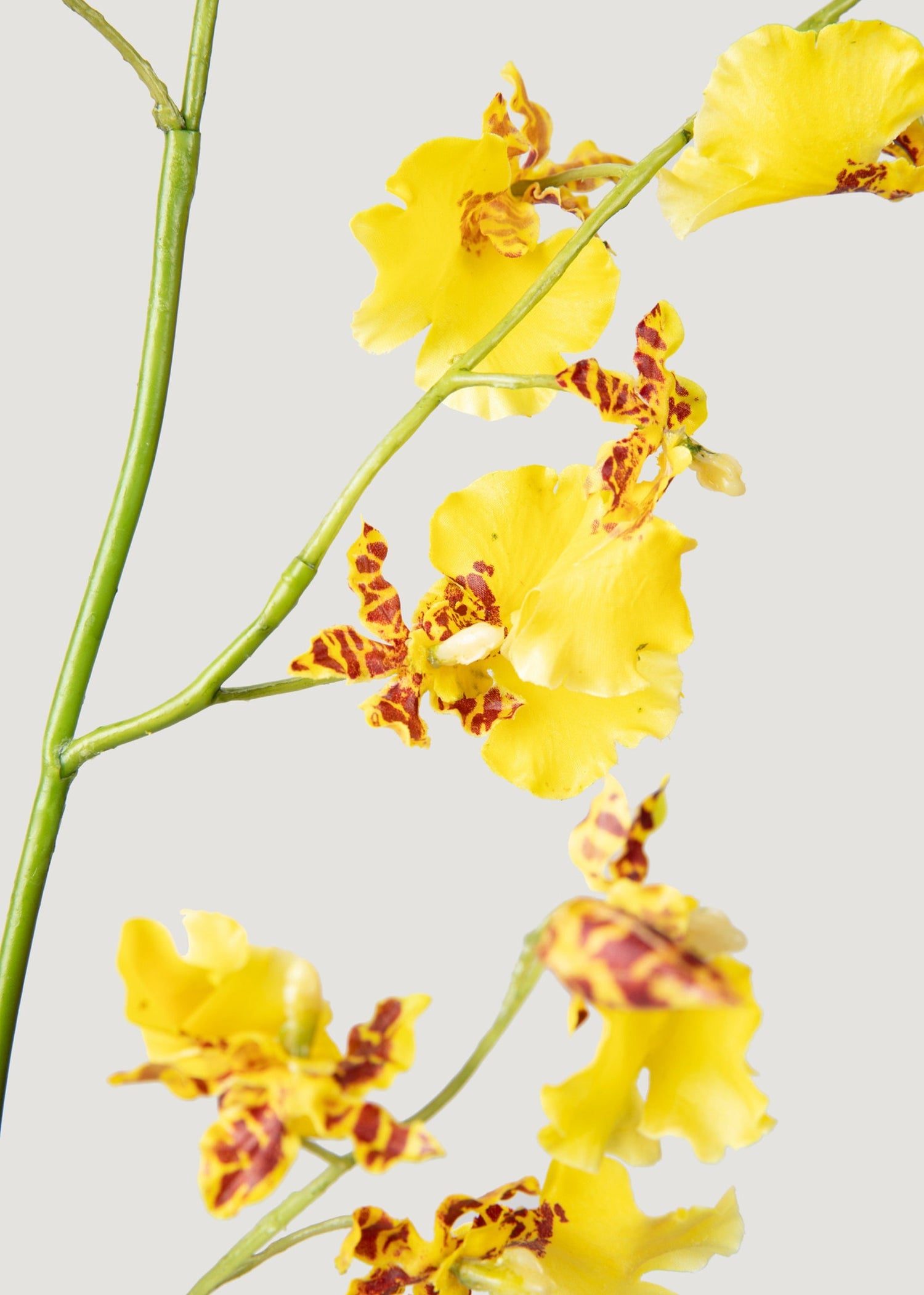 Artificial Dancing Orchids in Yellow - 46