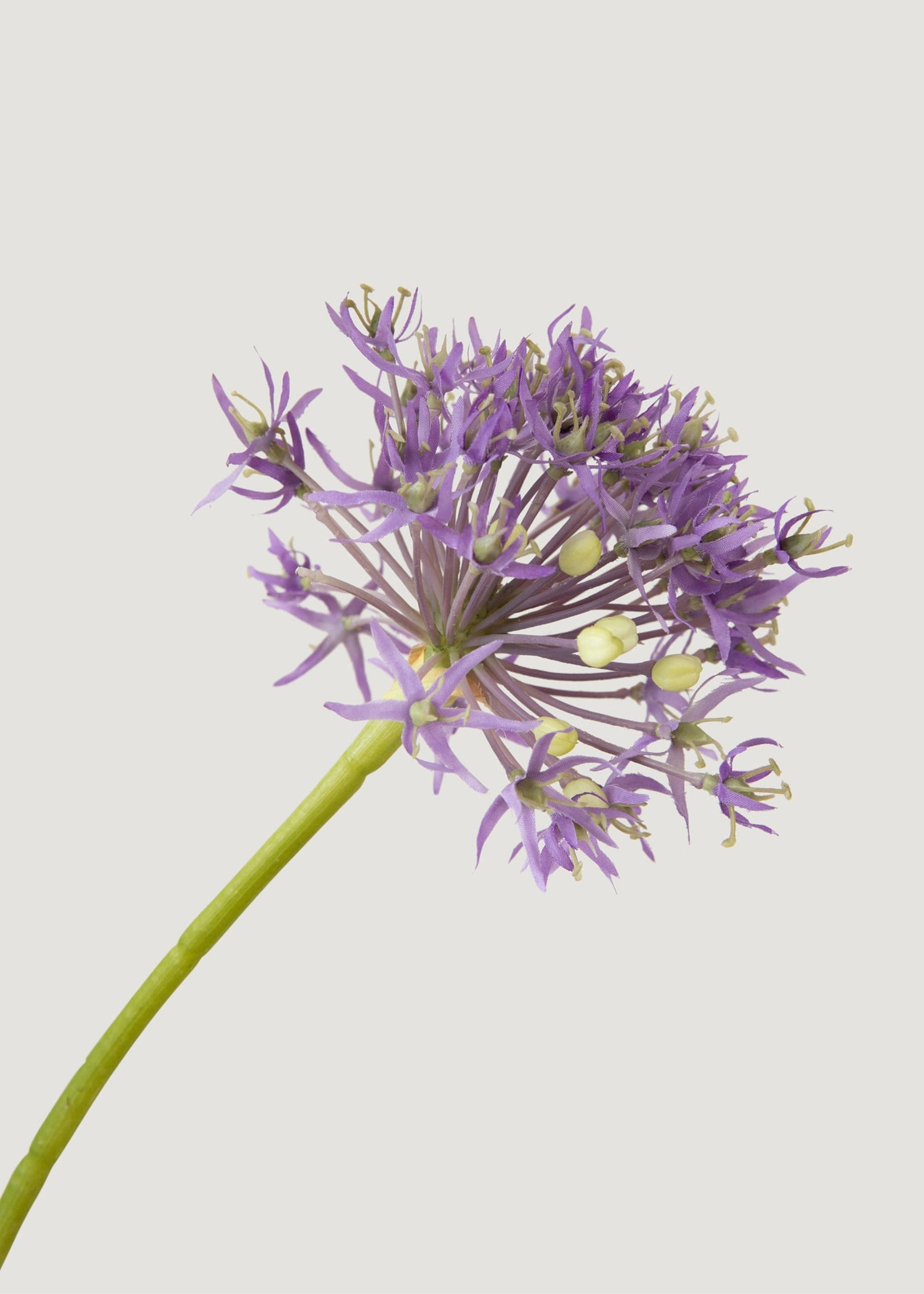 Artificial Allium Wildflower Bundle in Lavender - 30
