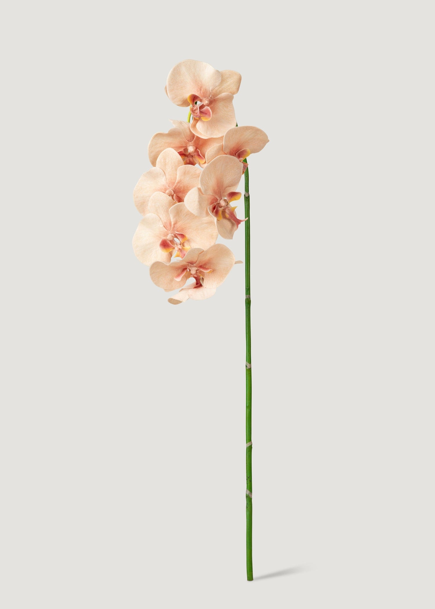 Fake Blooming Phalaenopsis Orchids in Peach Pink - 40