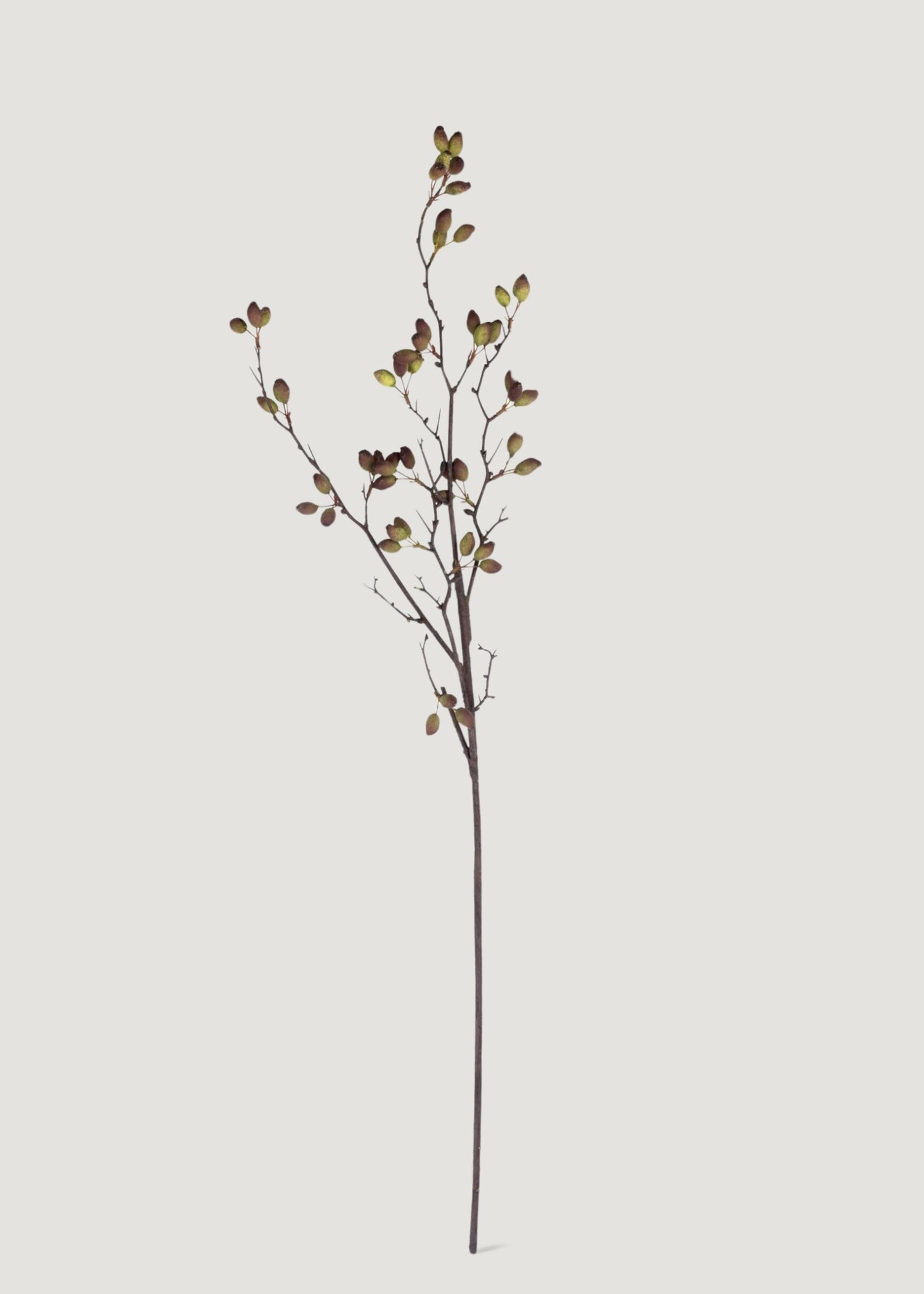 Fake Berries Tall Barberry Pod Branch - 37.75