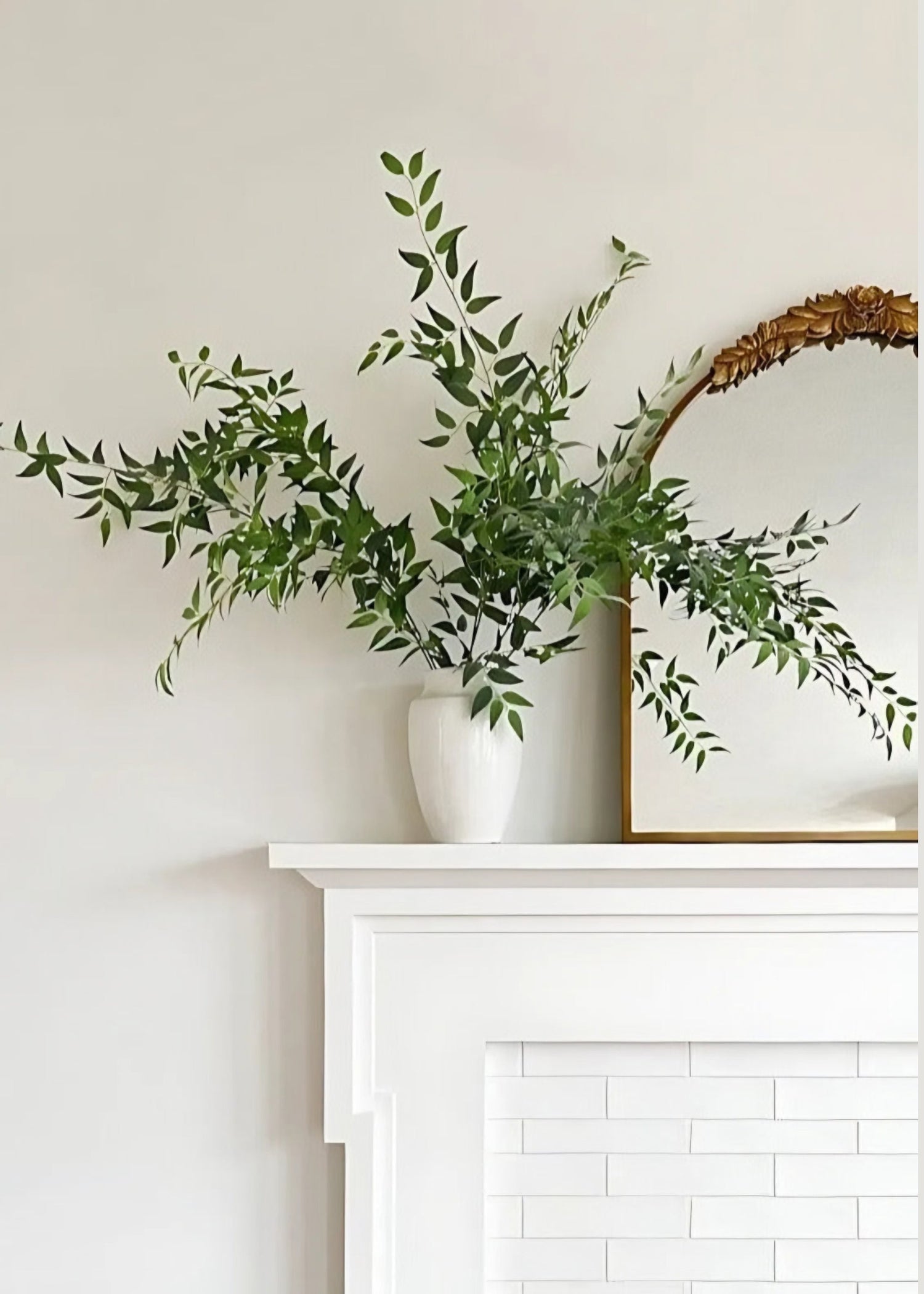 Fake Plants Italian Ruscus Branch - 49