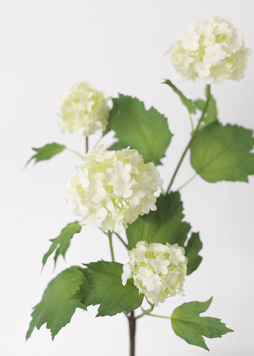 Cream White Artificial Snowball Flowers - 24