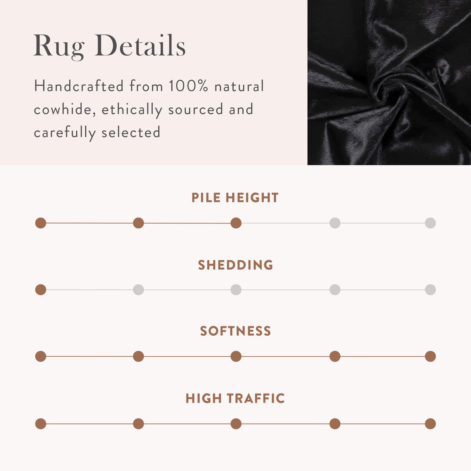 Black Brazilian Cowhide Rug: XL