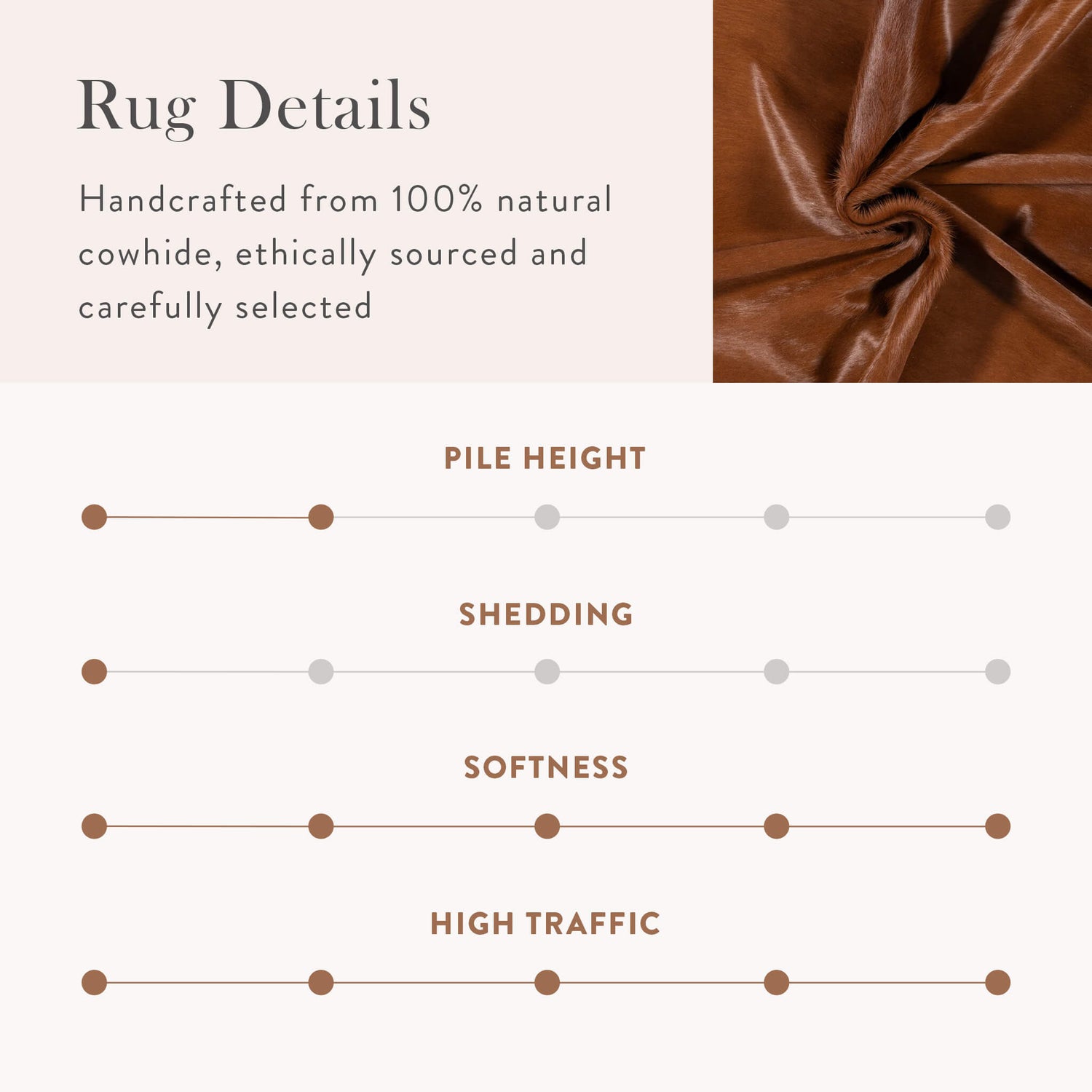 Dark Brown Brazilian Cowhide Rug: LARGE