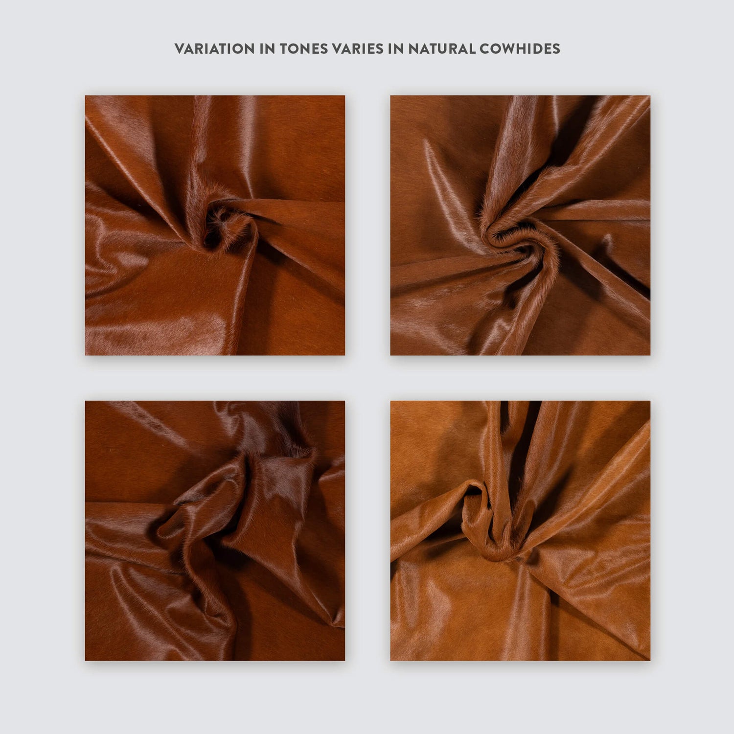 Dark Brown Brazilian Cowhide Rug: LARGE