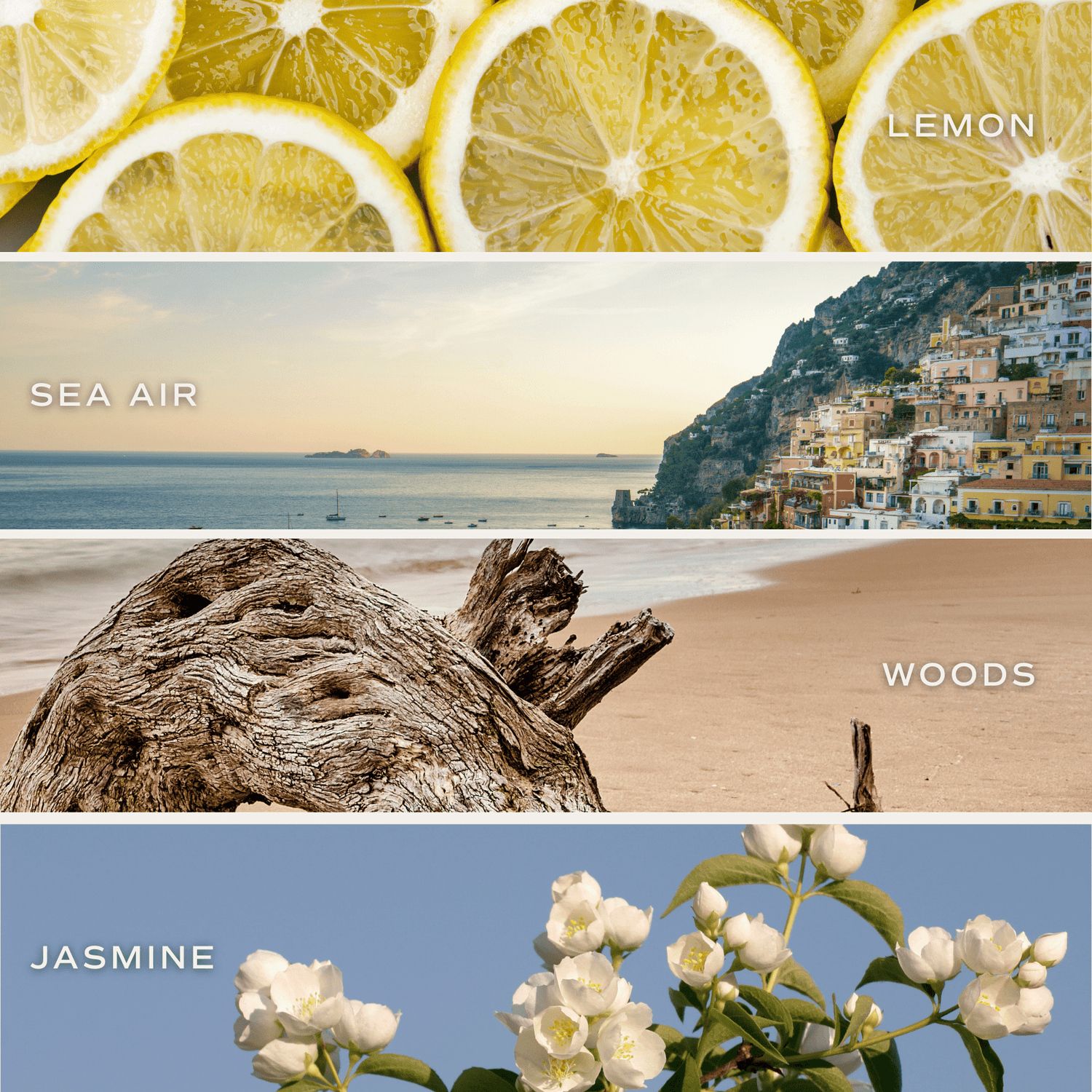 Coastal Lemon Soy Candle - Tinted Glass Jar - 12 oz