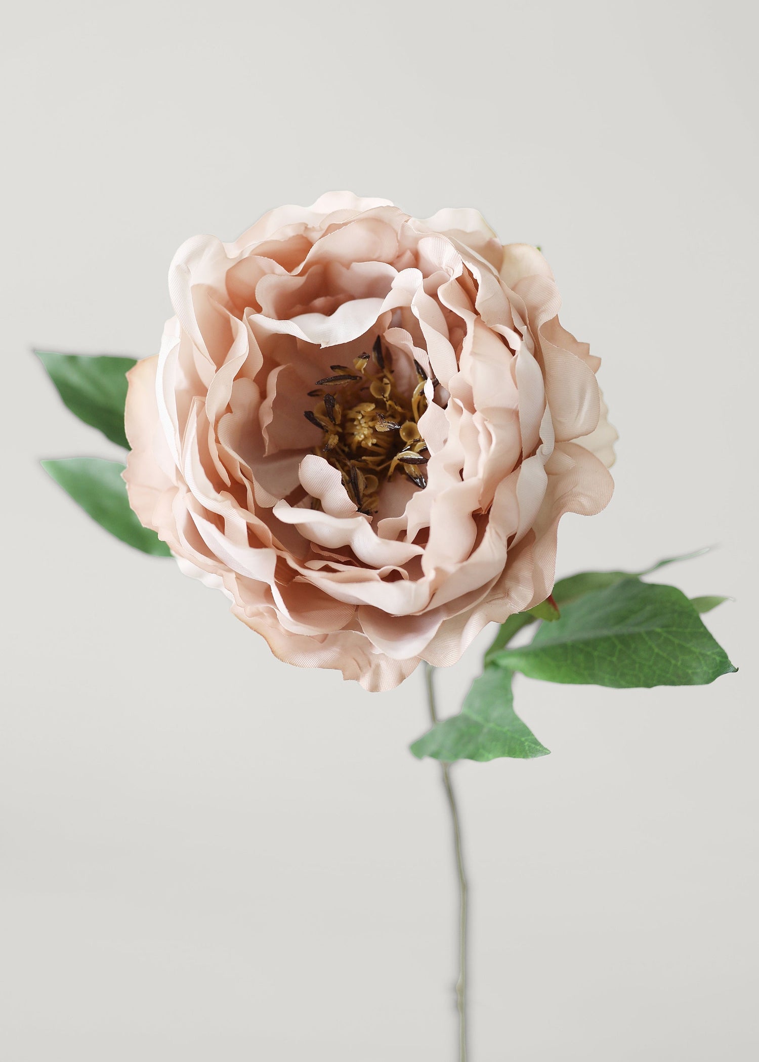 Artificial Peony Flower in Mauve Beige - 18.5