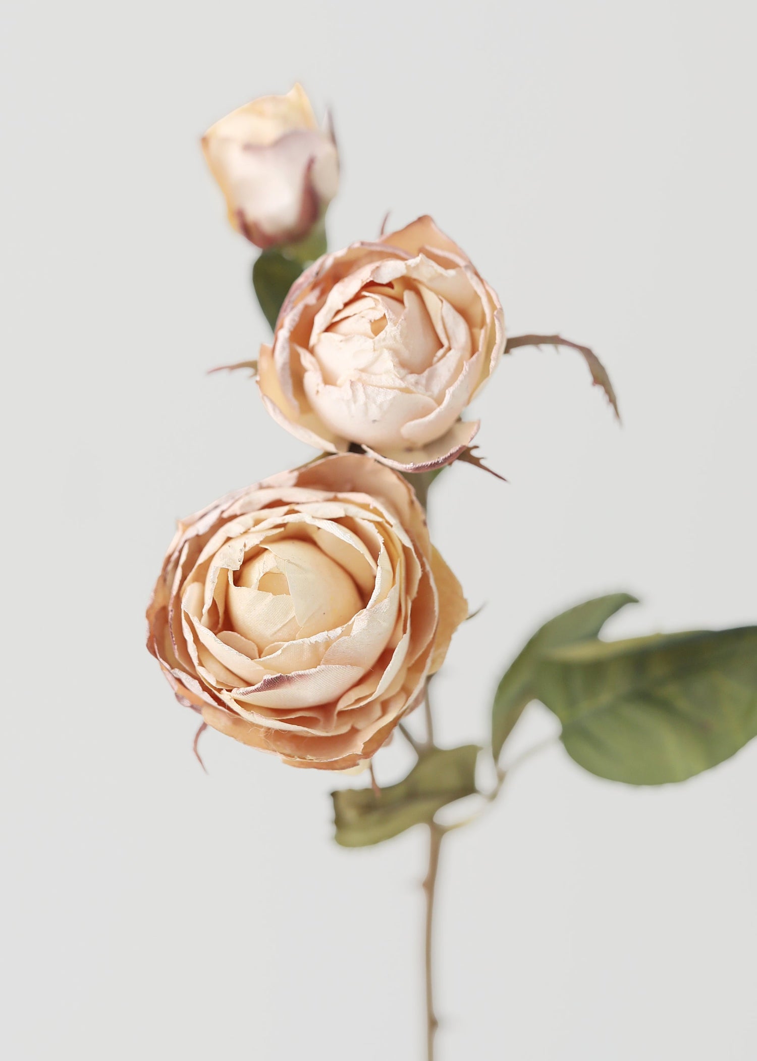 Dried Look Fake Roses in Beige - 21