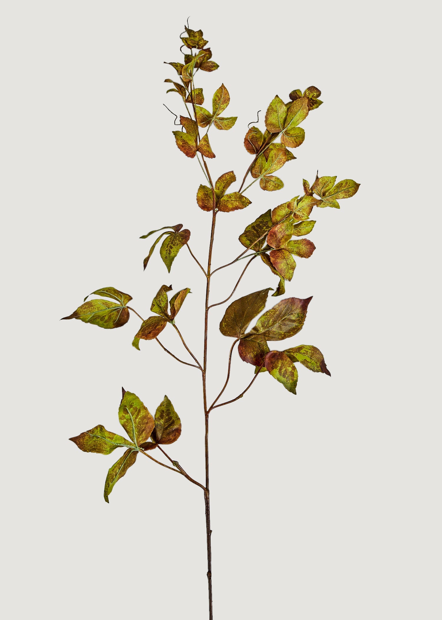 Faux Grape Ivy Garland Stem in Green Eggplant - 48