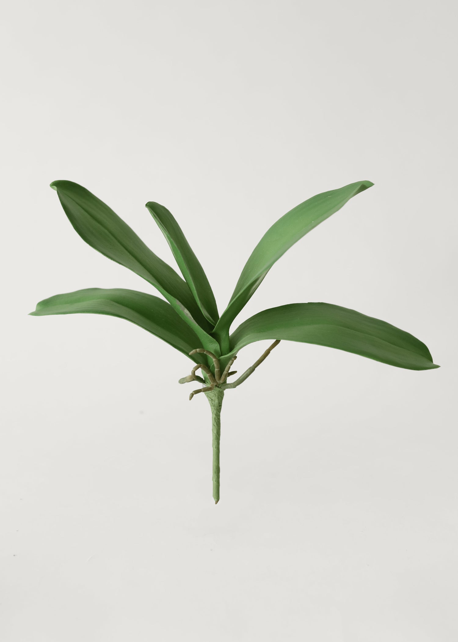 Artificial Phalaenopsis Orchid Leaf Plant - 15
