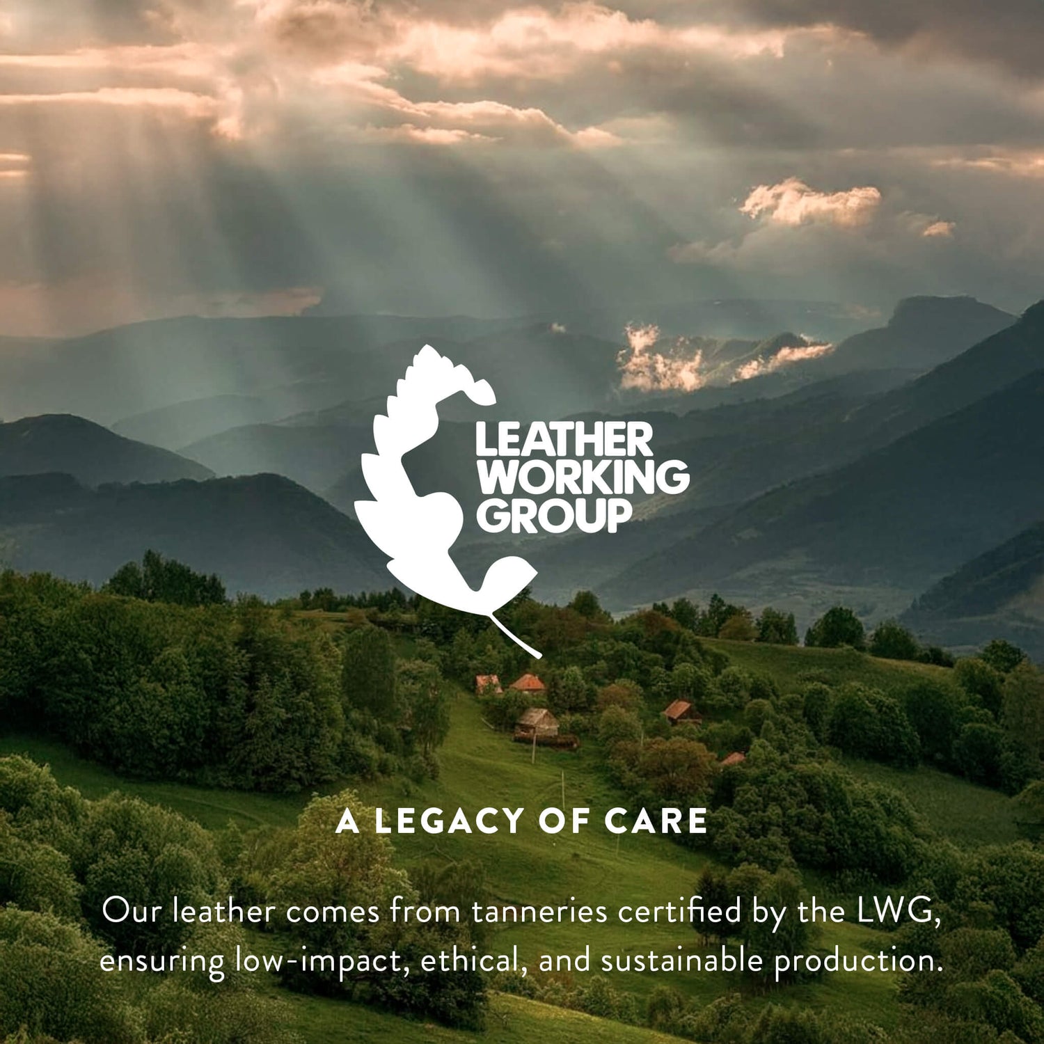 Black Brazilian Cowhide Rug: XL