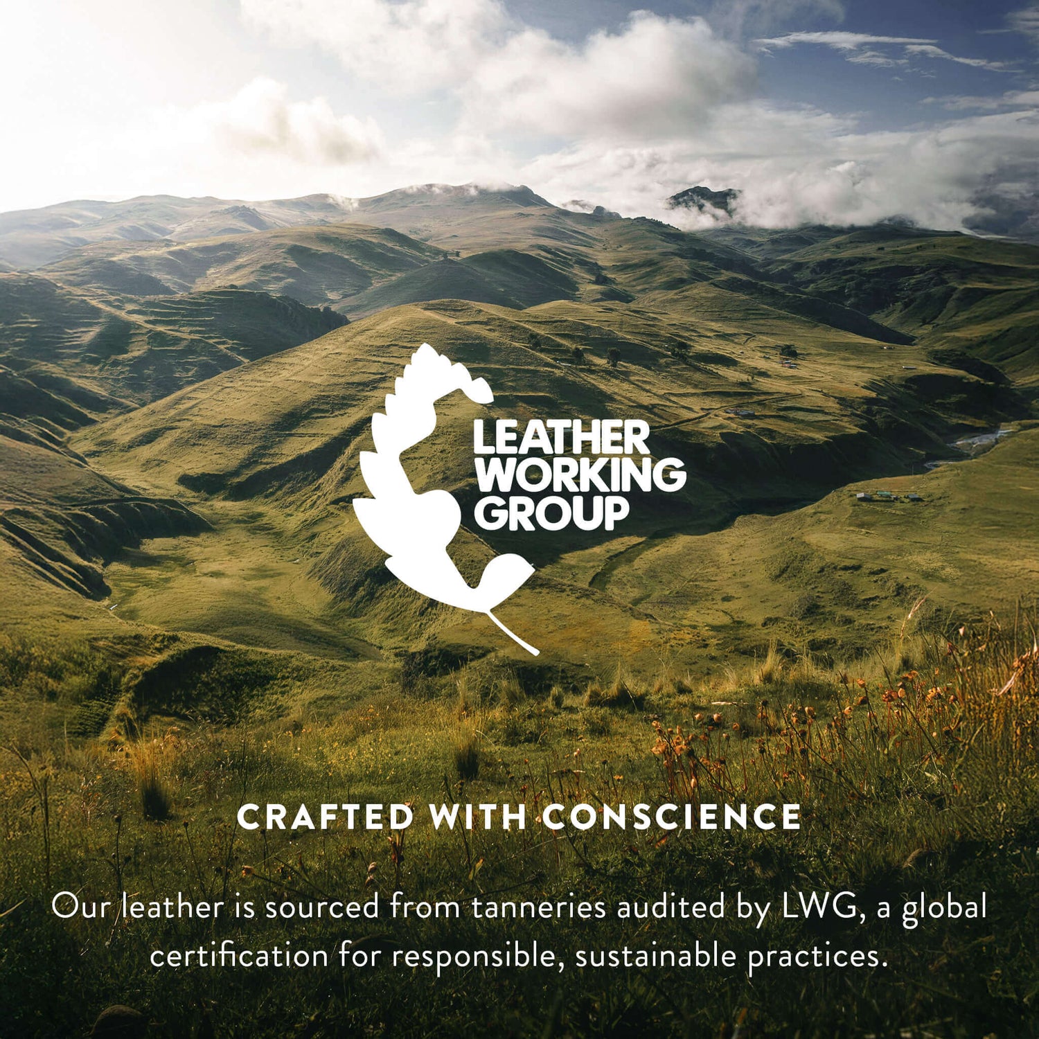 Tricolor Brazilian Cowhide Rug: LARGE