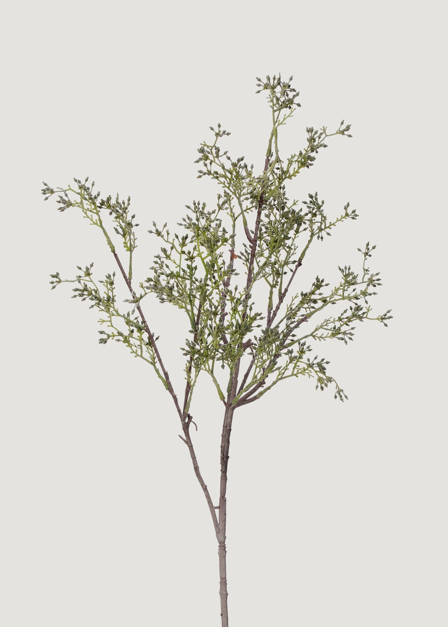 Artificial Seeded Eucalyptus Stem - 27