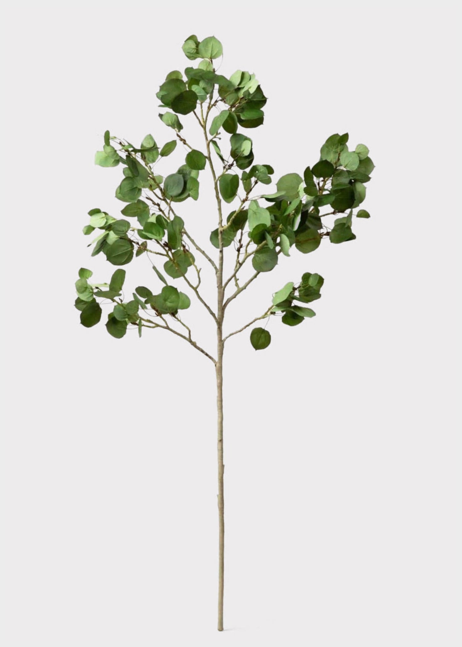 Premium Tall Artificial Aspen Branch - 51