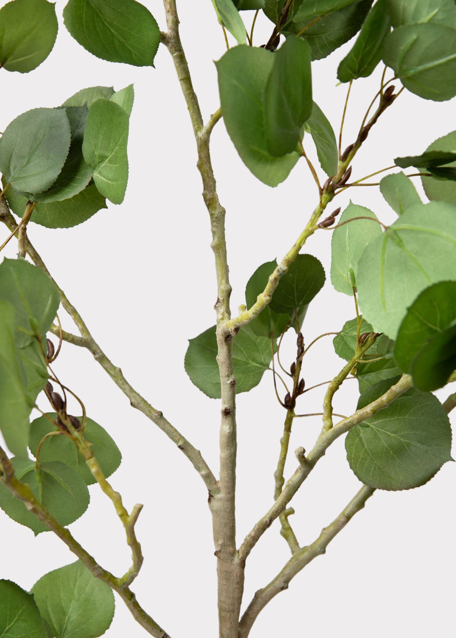 Premium Tall Artificial Aspen Branch - 51