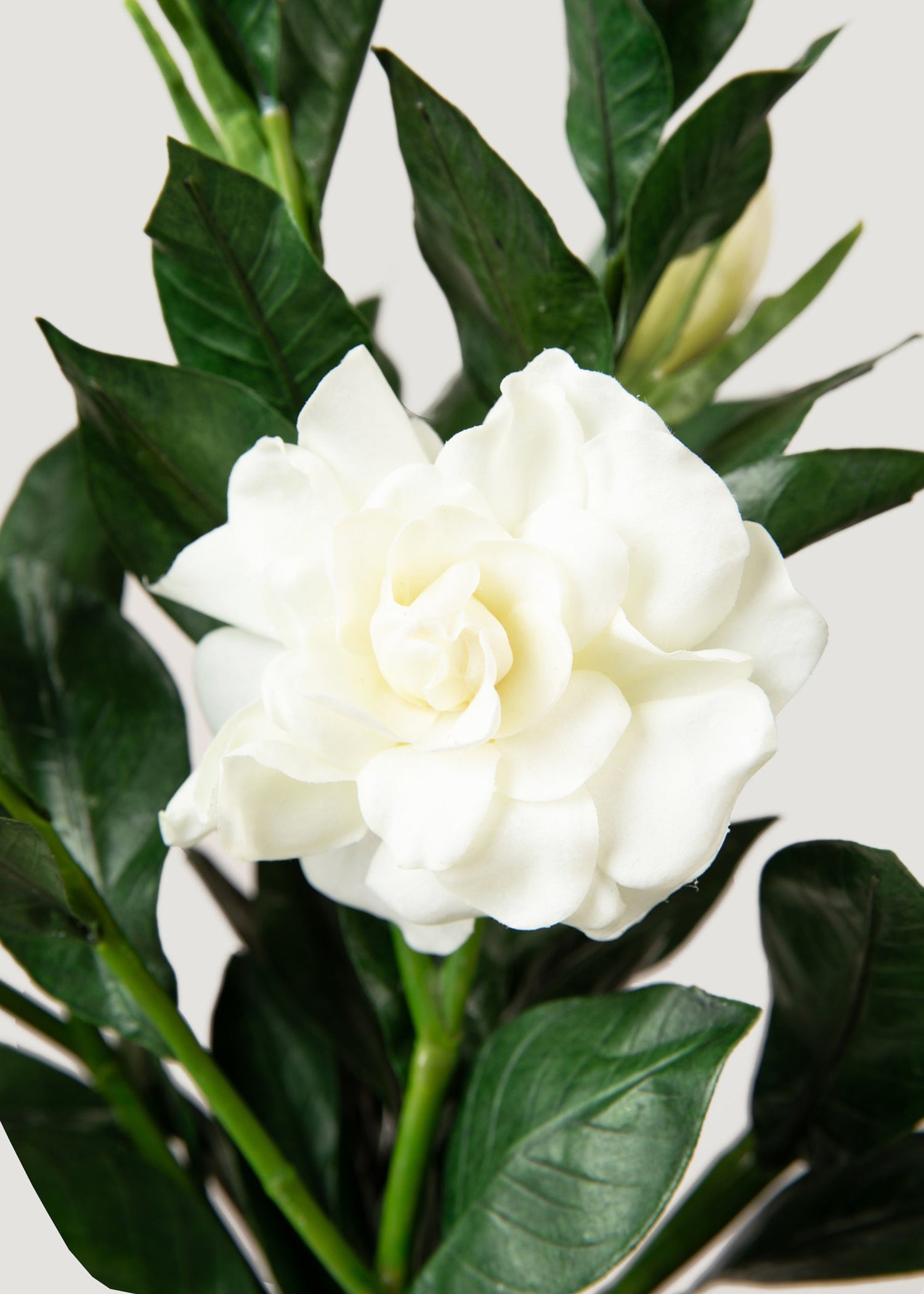 Premium Artificial Gardenia Flower Branch- 19