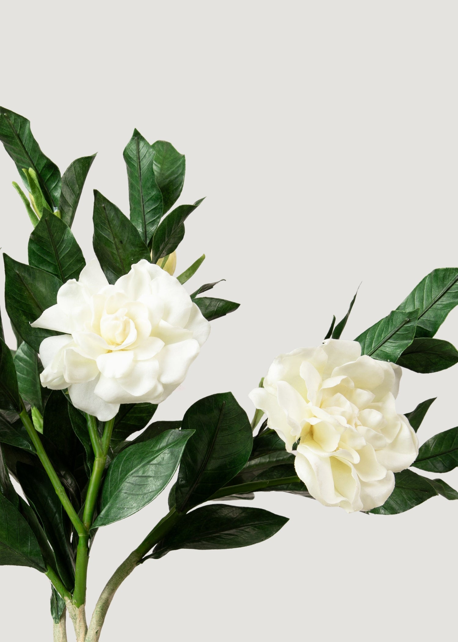Premium Artificial Gardenia Flower Branch- 19