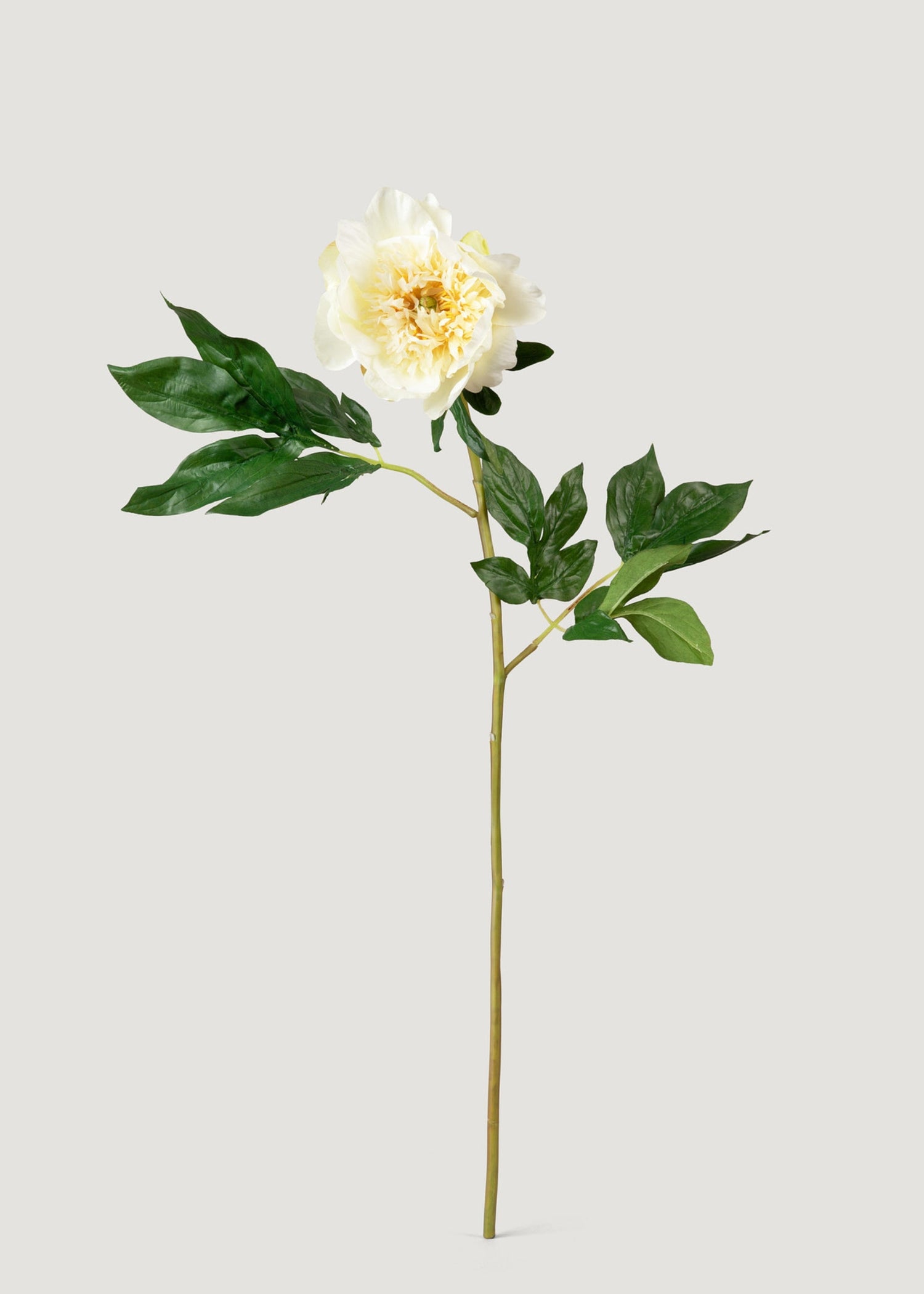 Artificial Peony Flower in Pale Yellow - 28.5